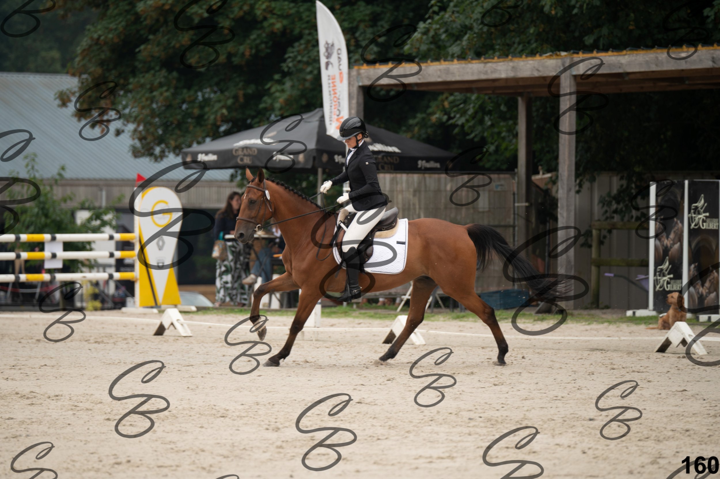 2026.08.15 - Louchier - GHO-244.jpg