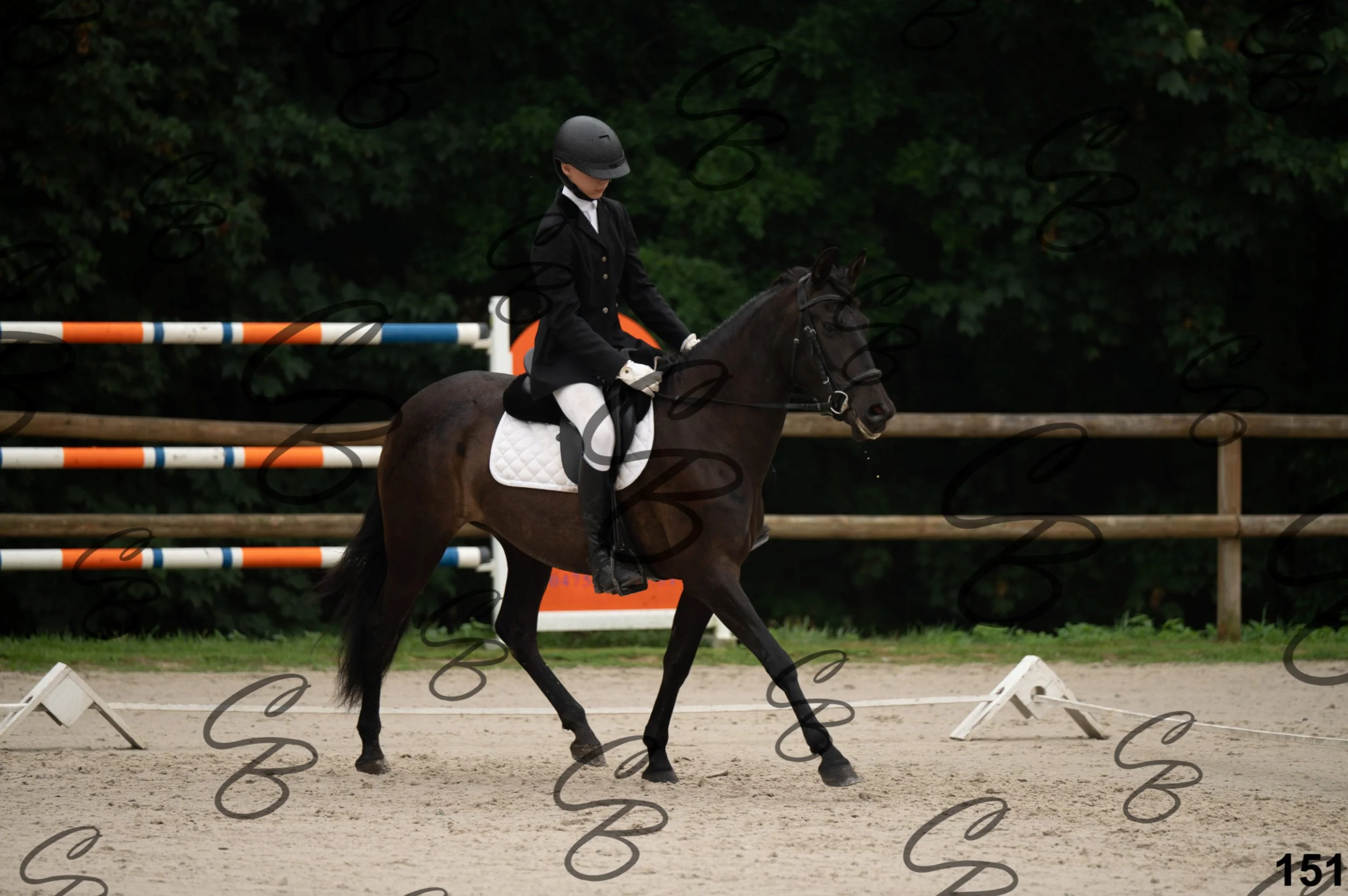 2026.08.15 - Louchier - GHO-233.jpg