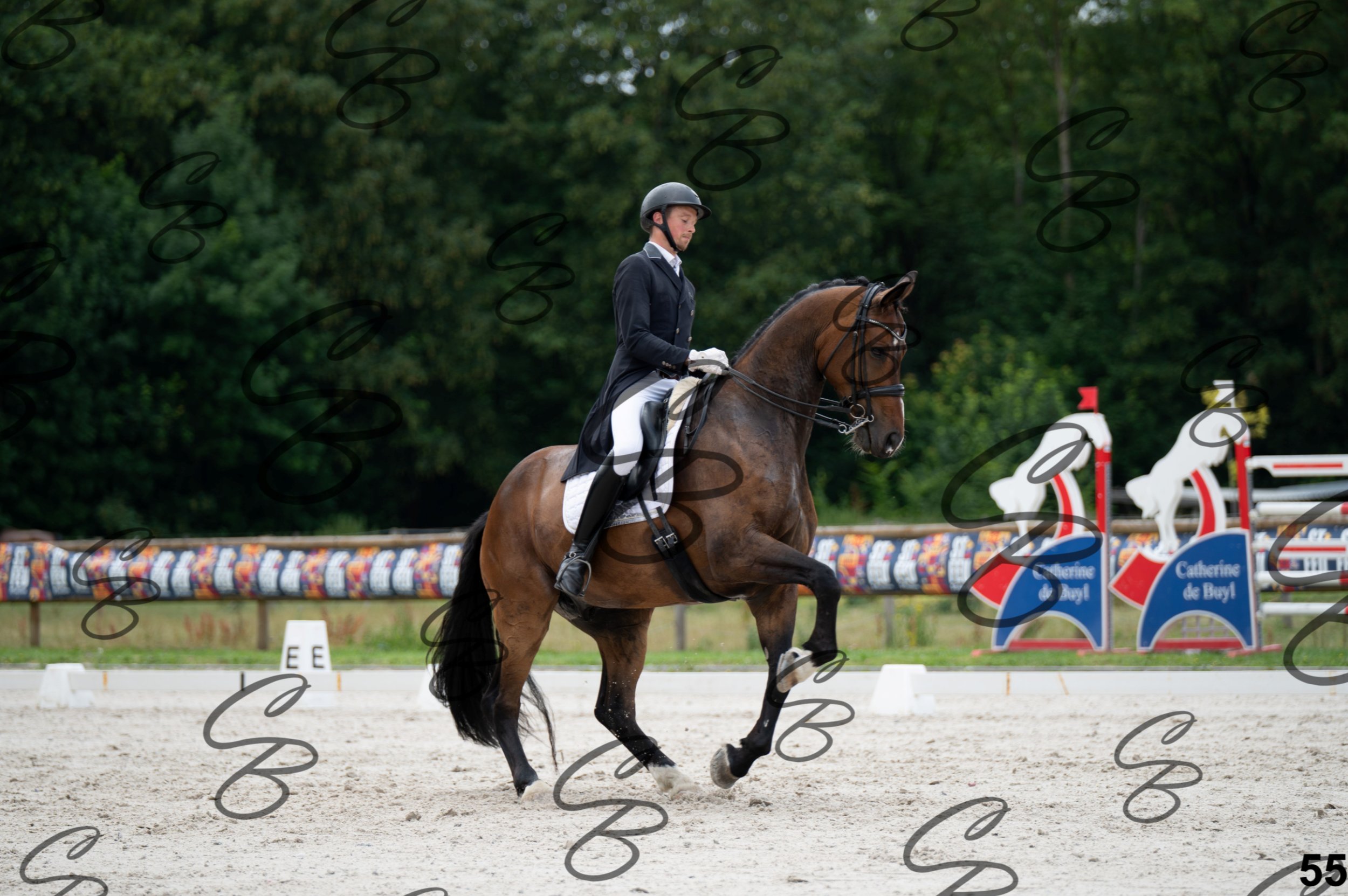 2026.07.04 - 4 Woutter D'hHoore-10.jpg