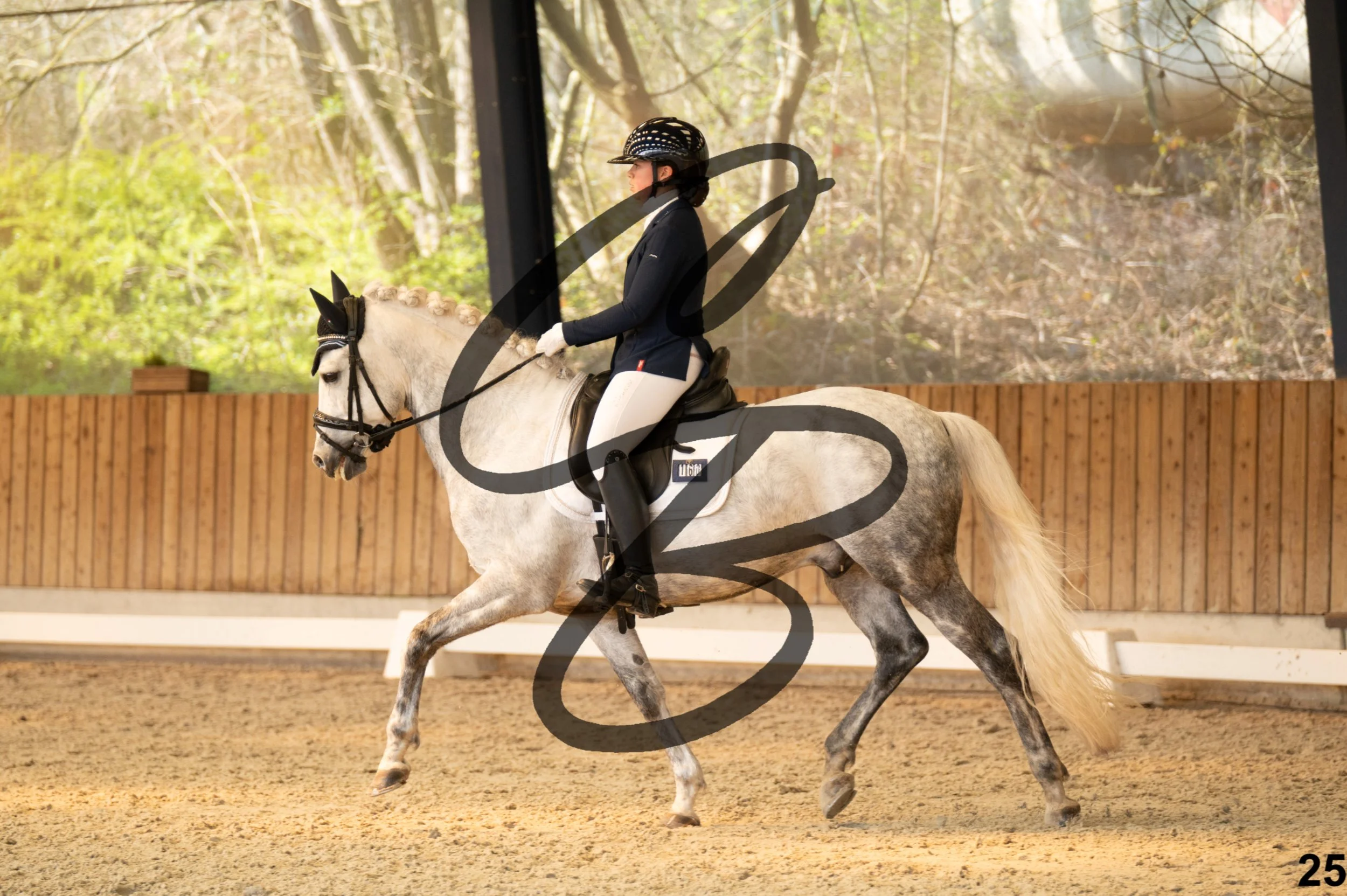 2026.03.22 - Niv3 - Pony individual test-25.jpg