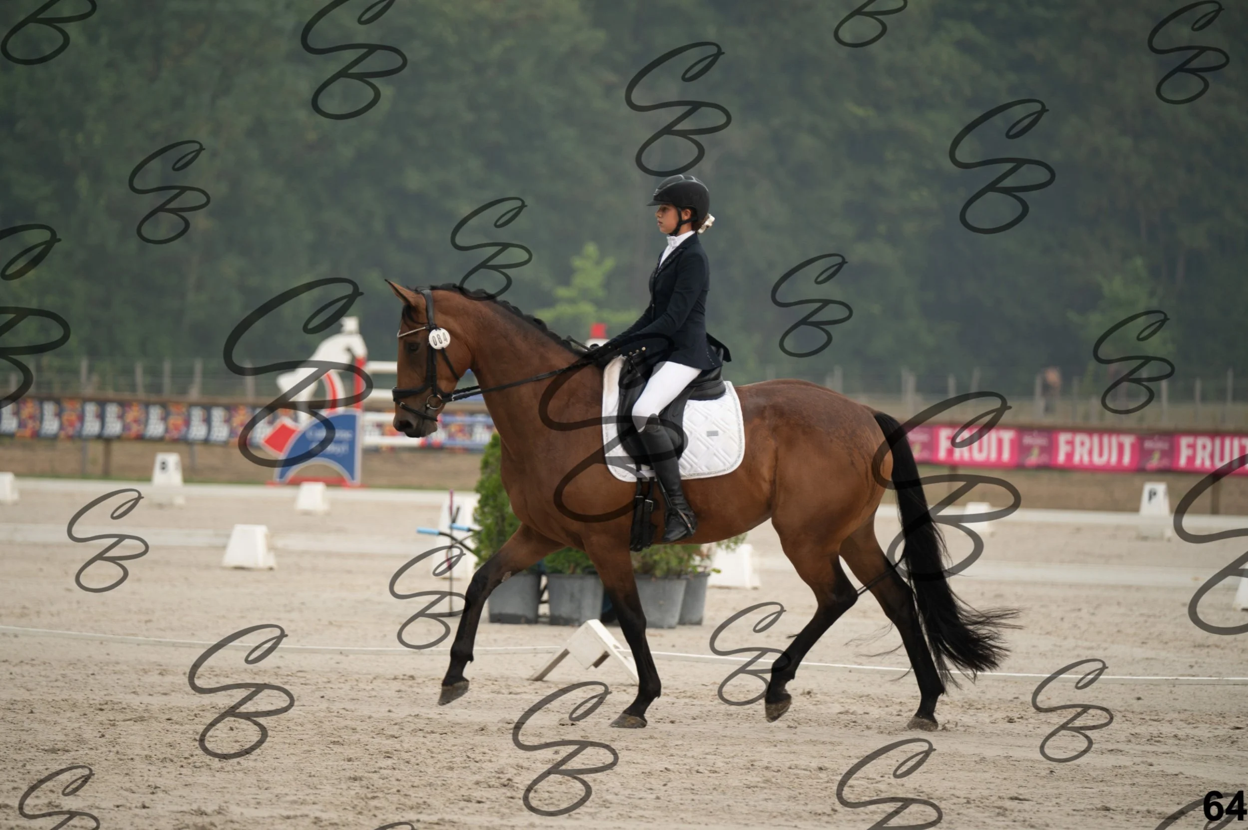 2026.08.15 - Louchier - GHO-98.jpg