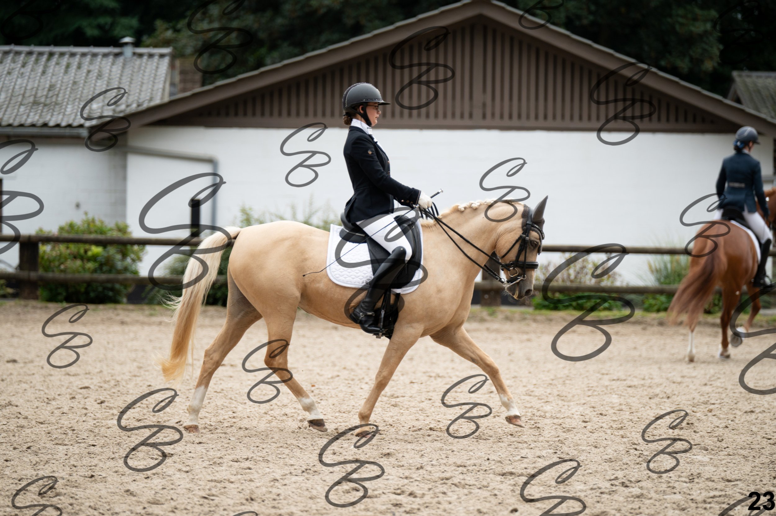 2026.09.13 - Alyssia-23.jpg