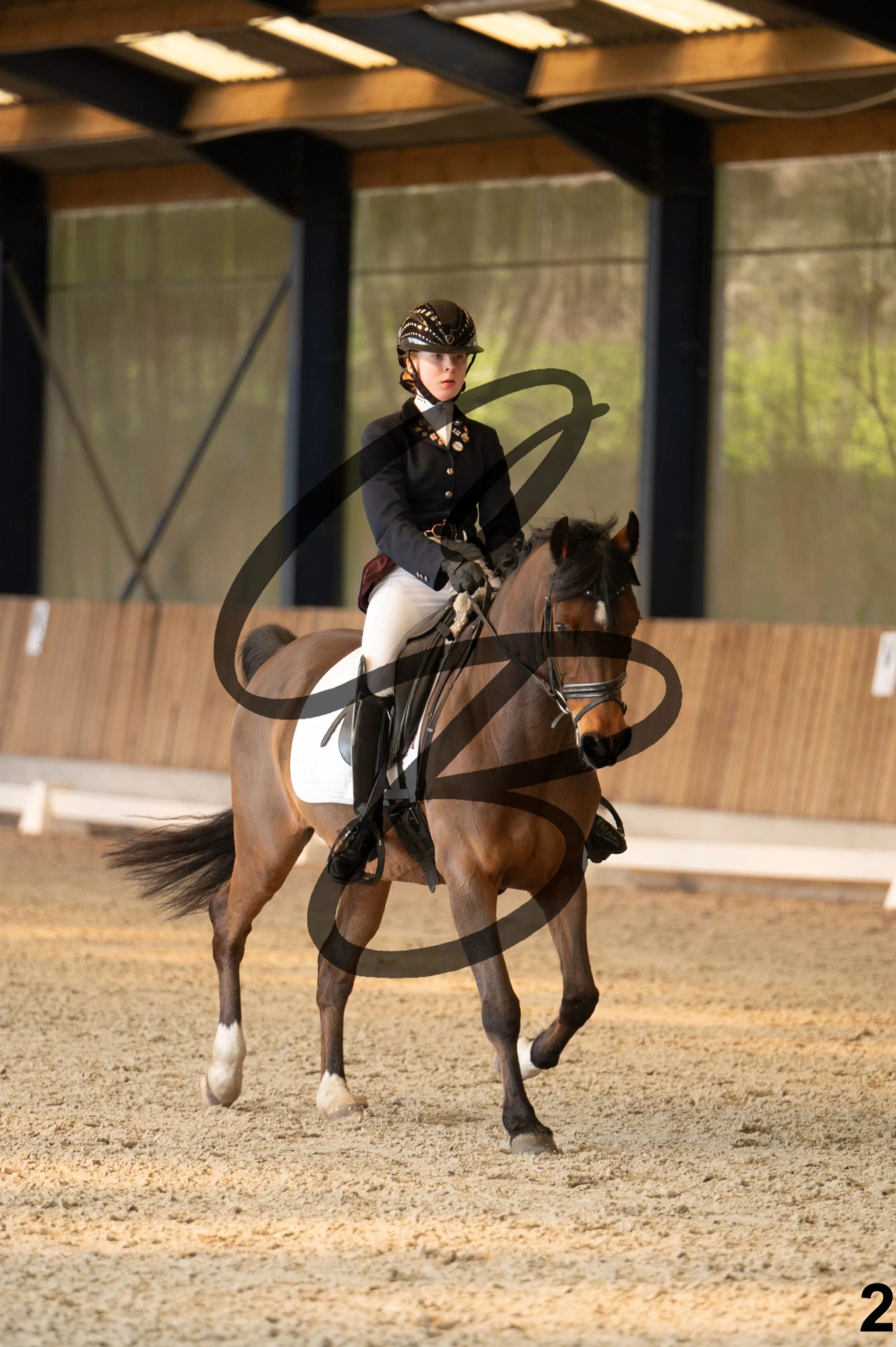 2026.03.22 - Niv3 - pony team test-2.jpg