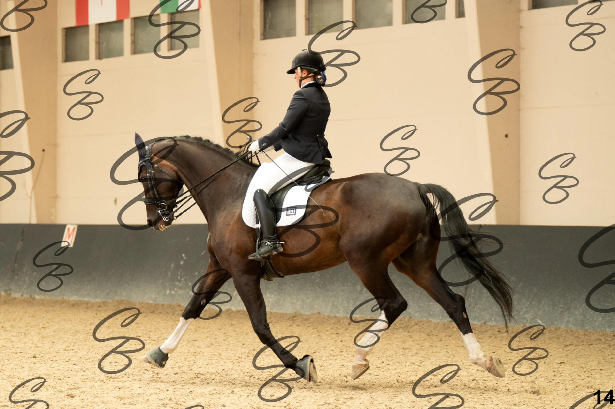 07082026-CLA_7637.jpg