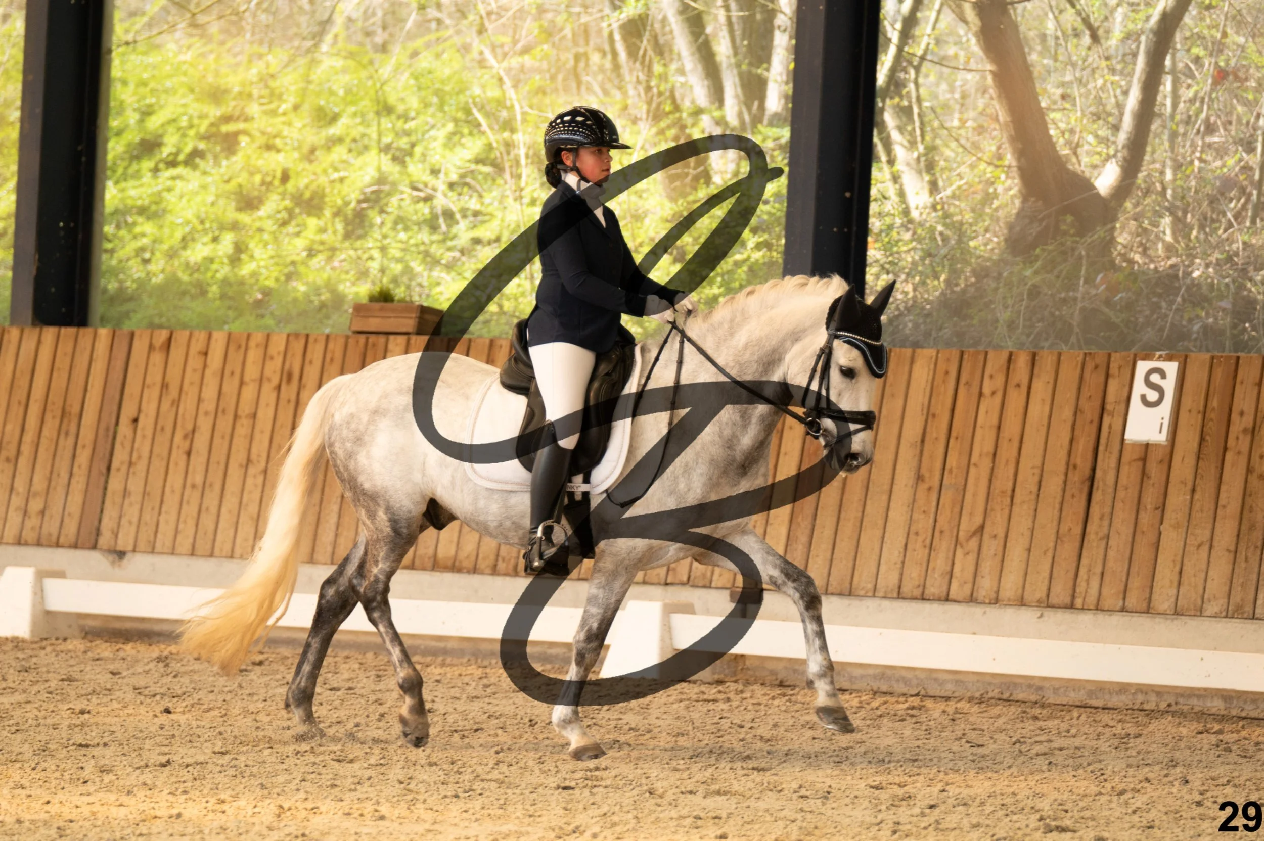 2026.03.22 - Niv3 - Pony individual test-29.jpg