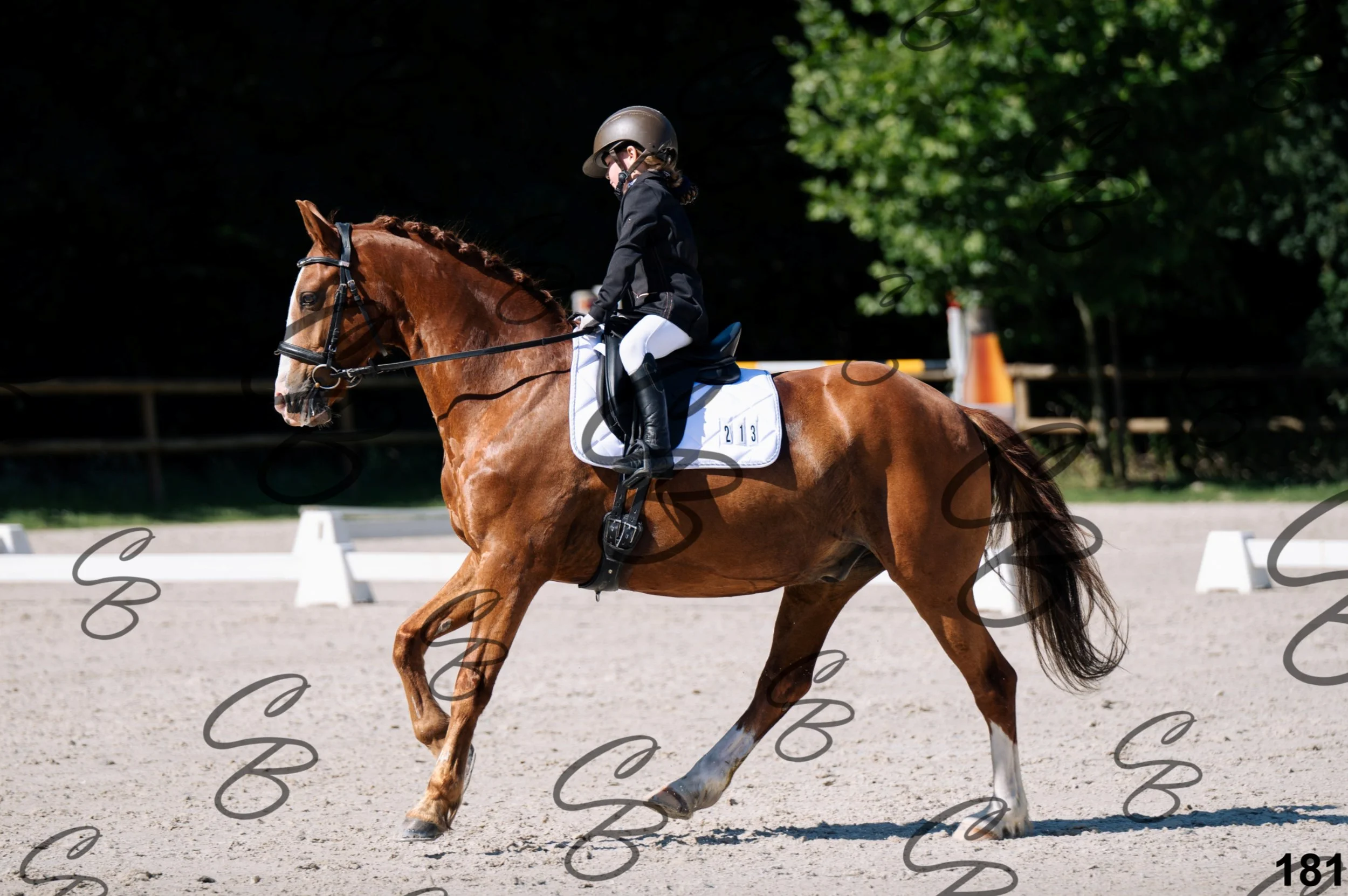 2026.07.12 - 106 Niveau Initiation Poneys - Ini.6-7.jpg