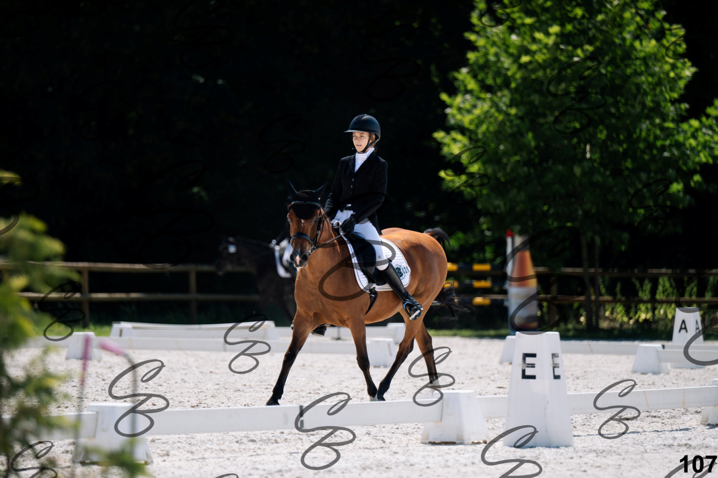 2026.07.12 - Niveau 1 - N1.5-107.jpg