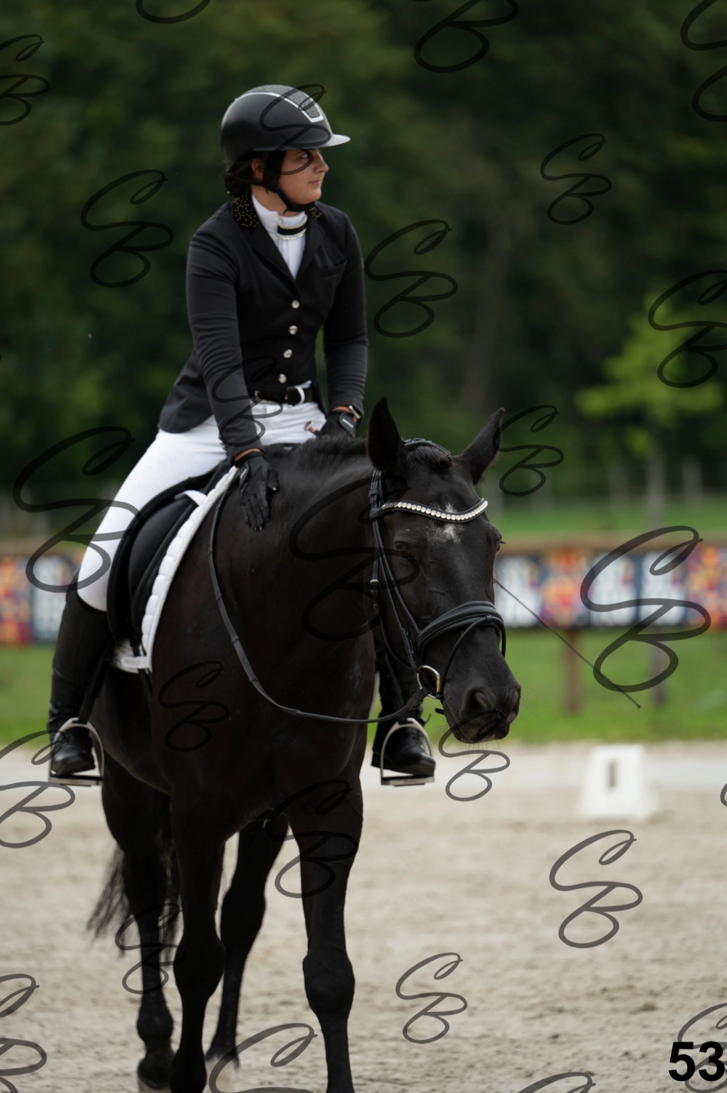 2026.09.13 - Reka-53.jpg