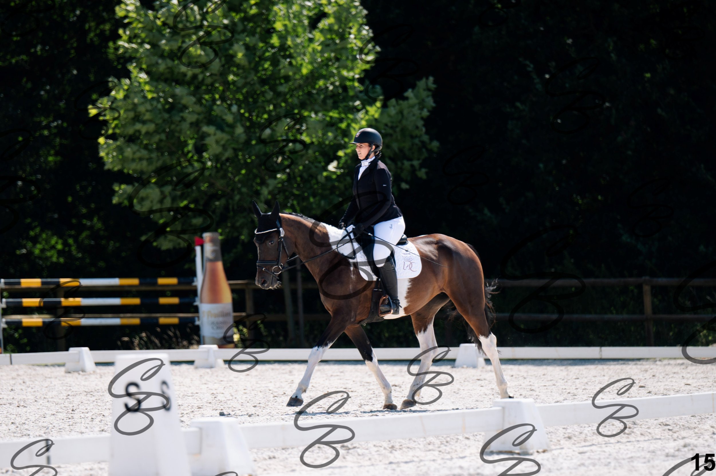 2026.07.12 - Jeunes chevaux - FEI 4YH Final Test-15.jpg