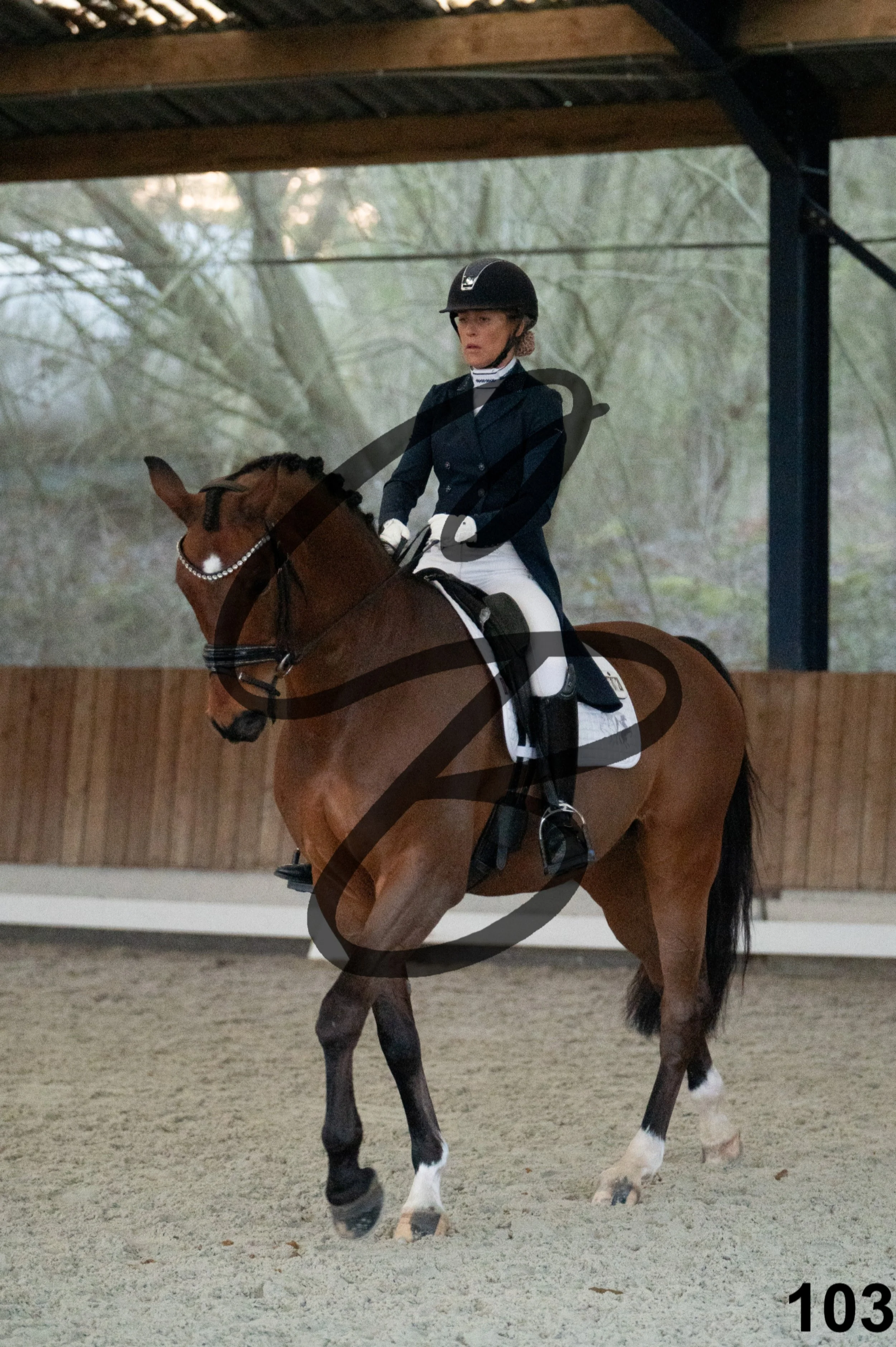 2026.03.22 - niv5 - saint georges-103.jpg