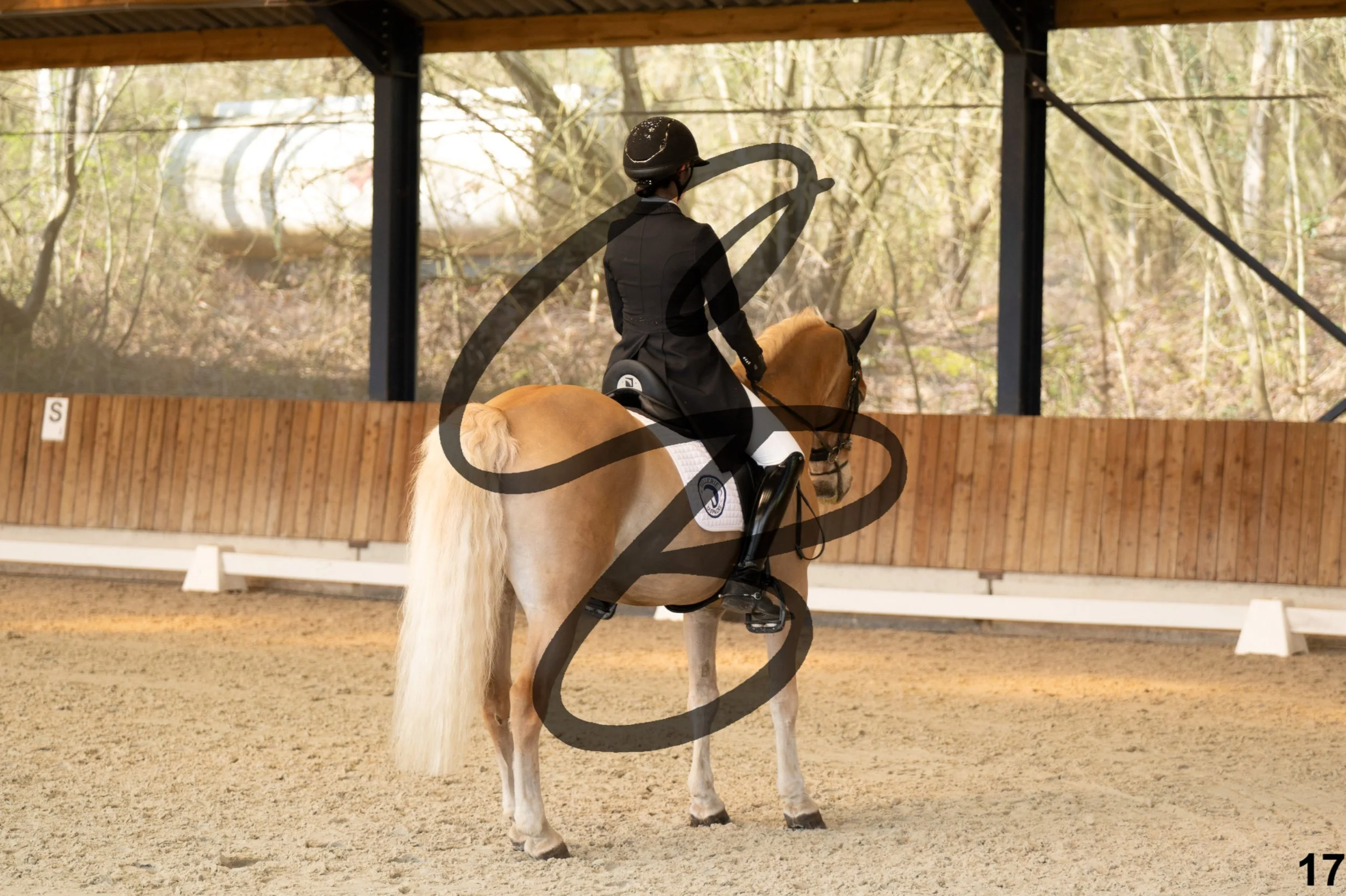 2026.03.22 - Niv4 - junior team test-17.jpg