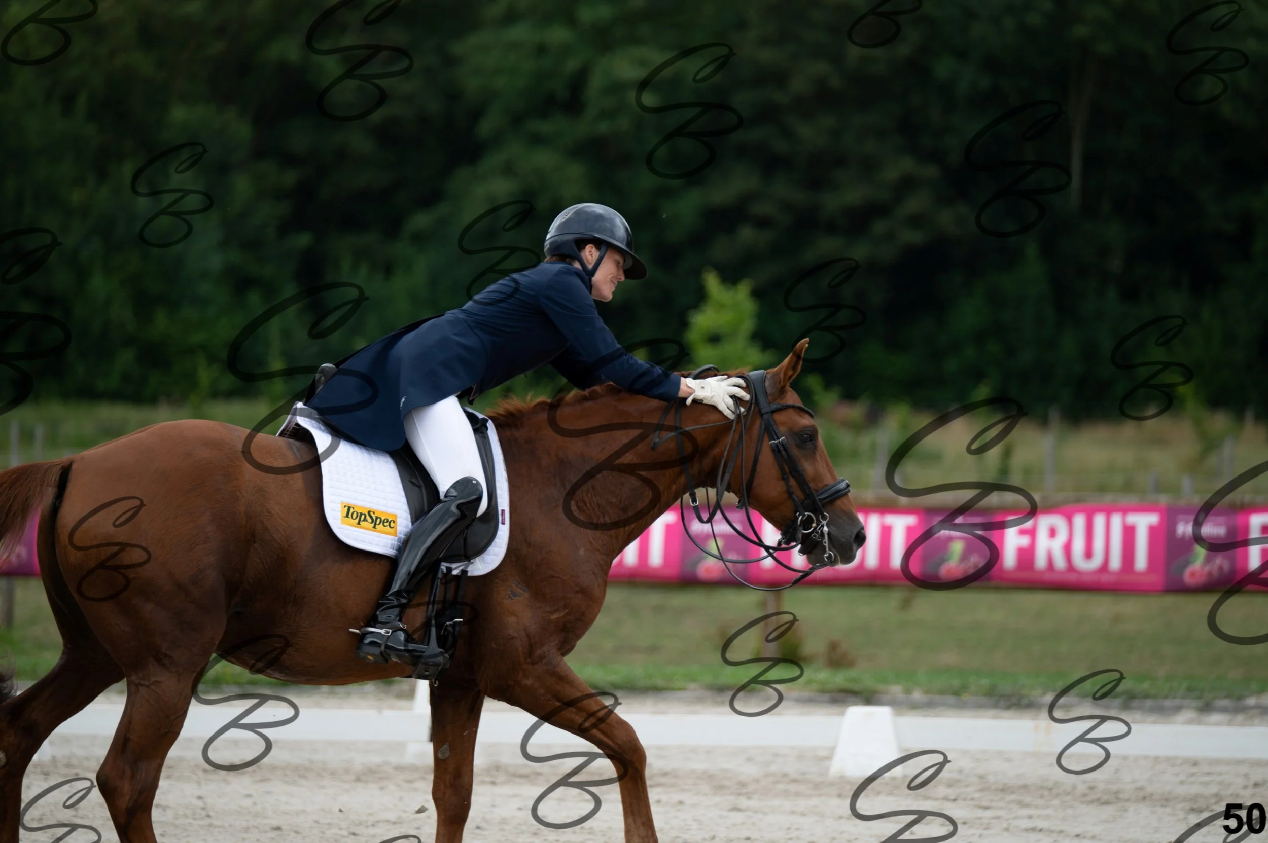 2026.07.04 - 3 Audrey Blau-11.jpg