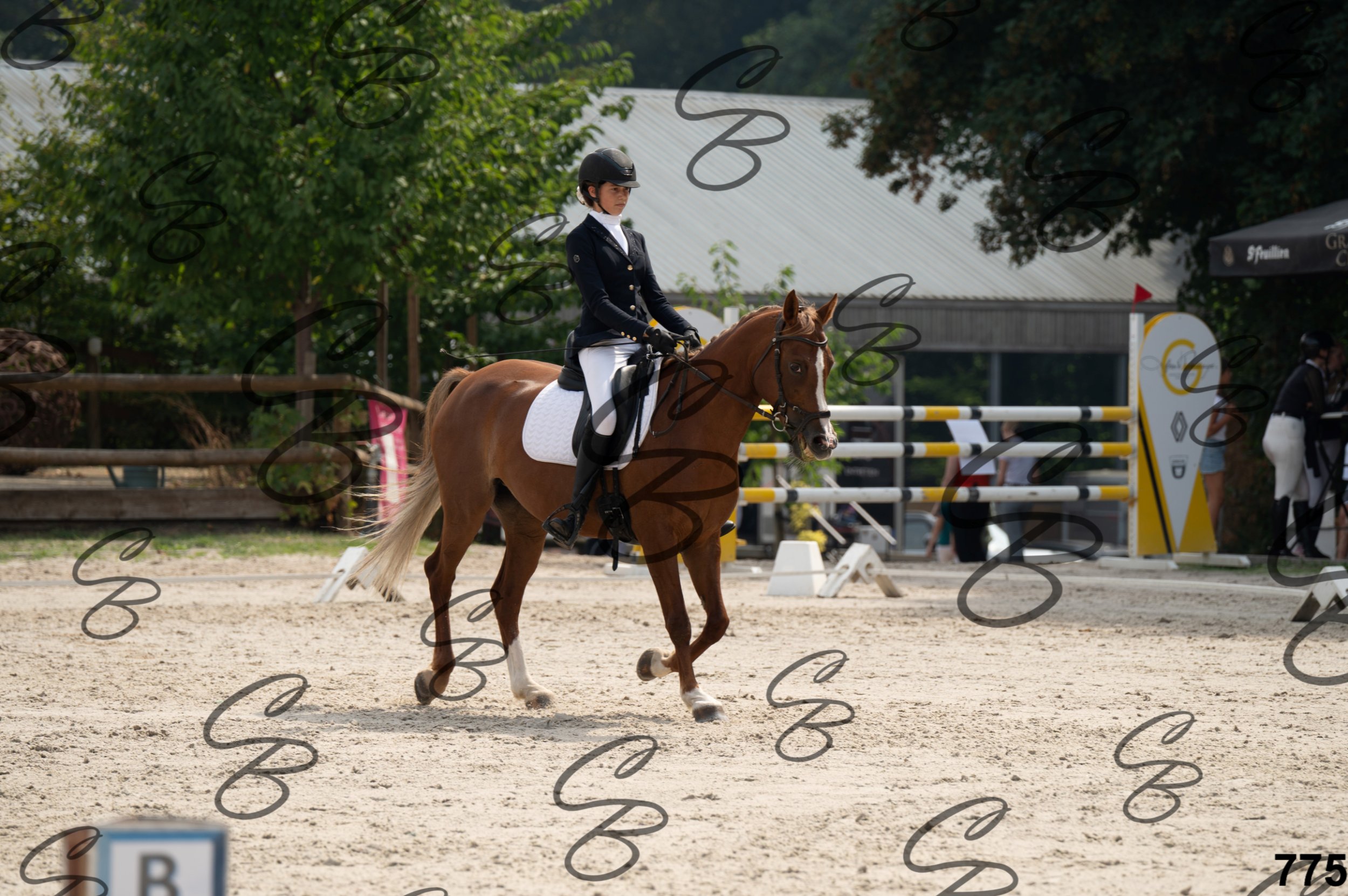 2026.08.15 - Louchier - GHO-897.jpg