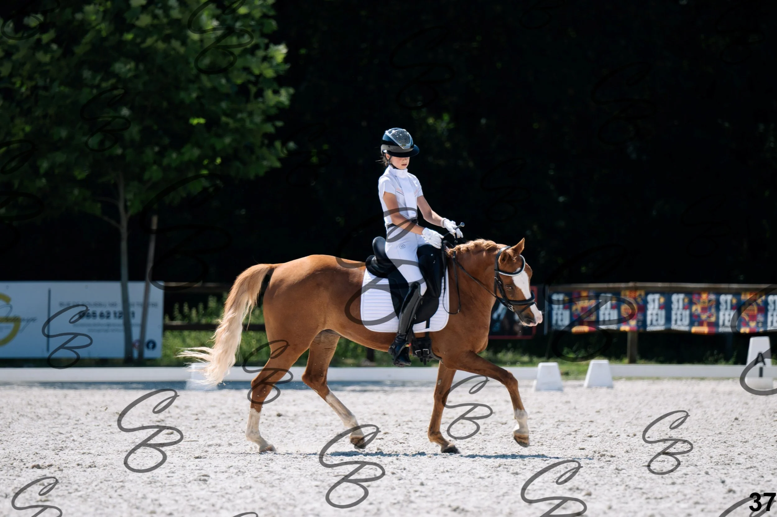 2026.07.12 - Niveau 2 - N2.4-37.jpg
