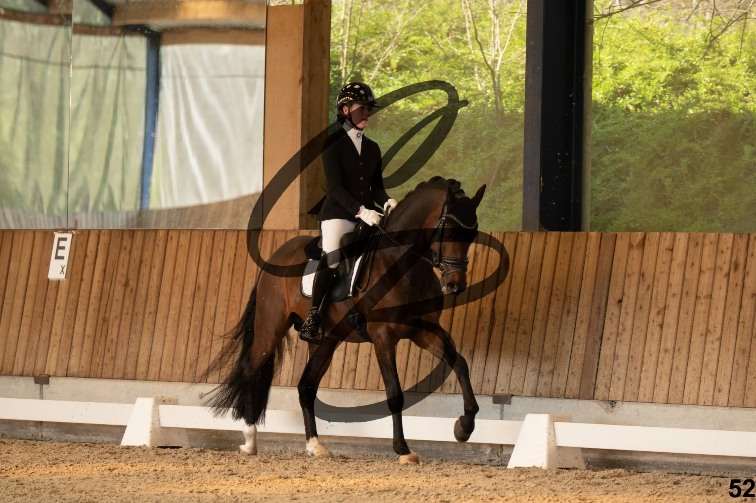 2026.03.22 - Niv3 - pony team test-52.jpg