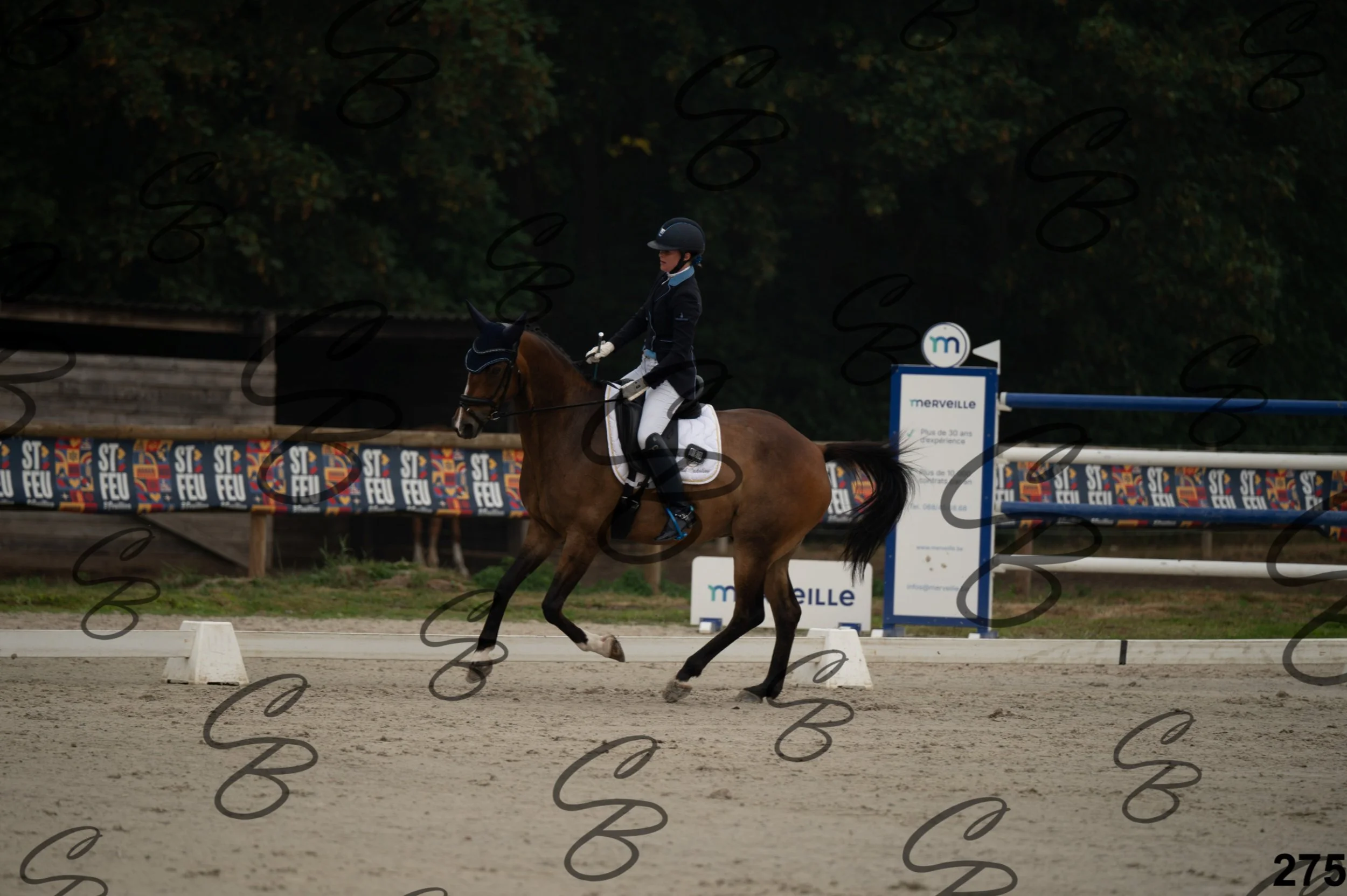 2026.08.15 - Louchier - GHO-394.jpg