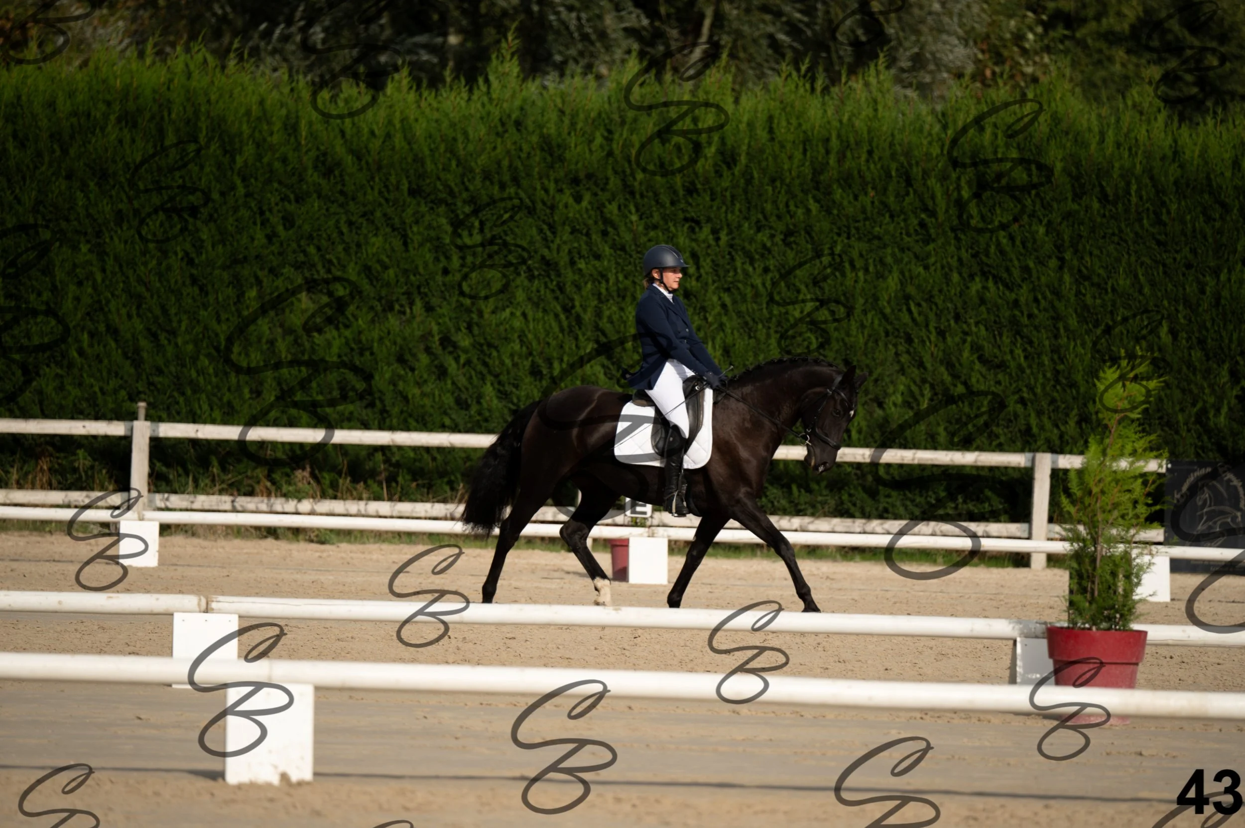 2026.09.20 - Catherine-43.jpg