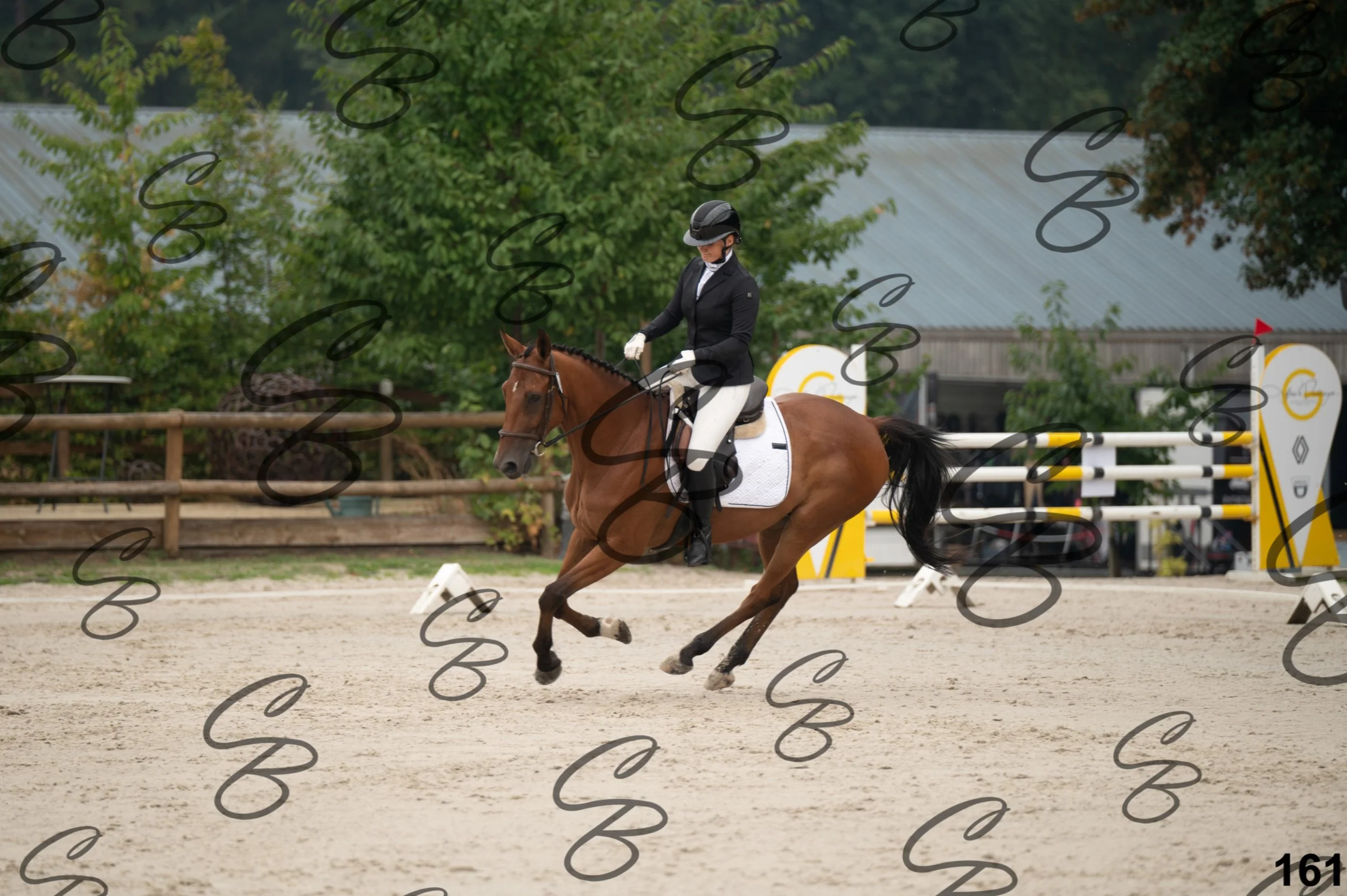 2026.08.15 - Louchier - GHO-245.jpg