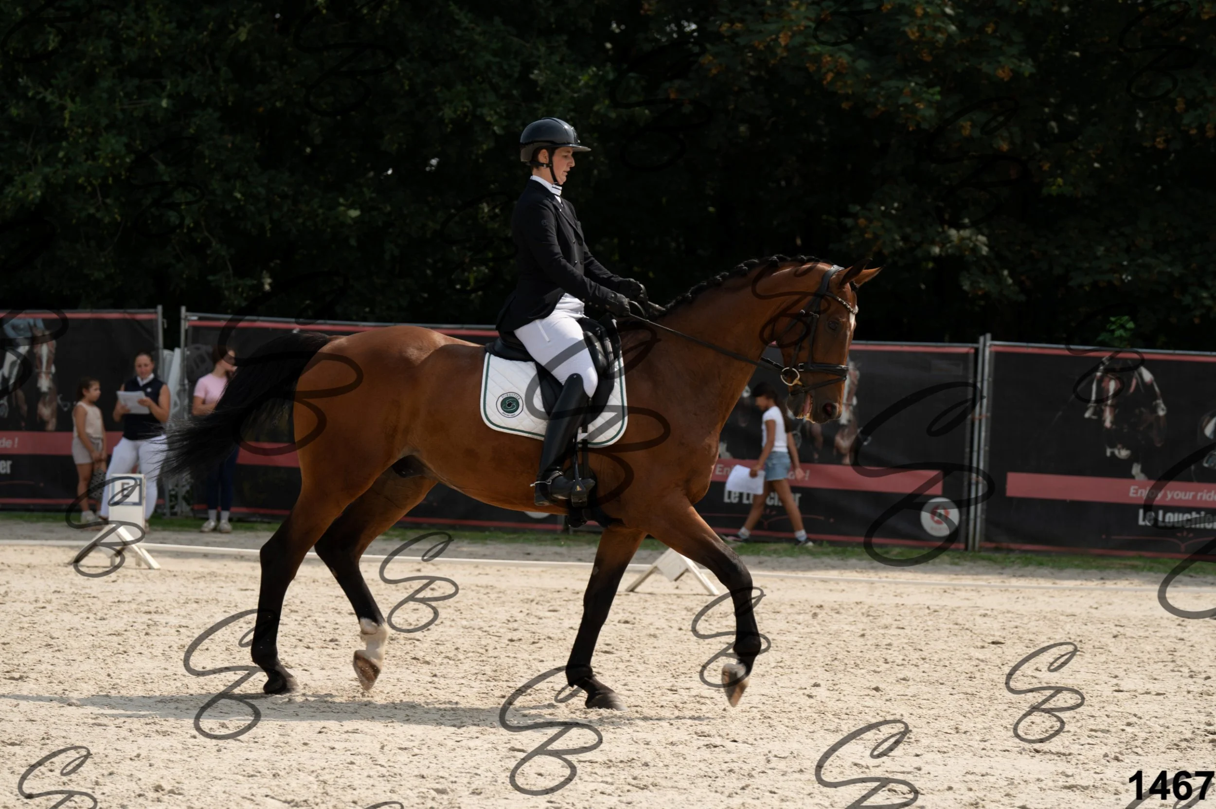 2026.08.15 - Louchier - GHO-1654.jpg