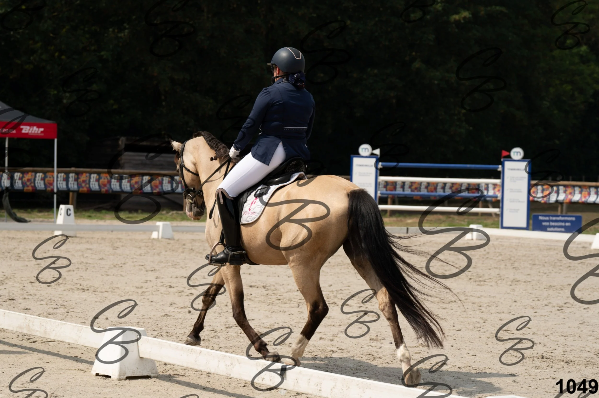 2026.08.15 - Louchier - GHO-1241.jpg