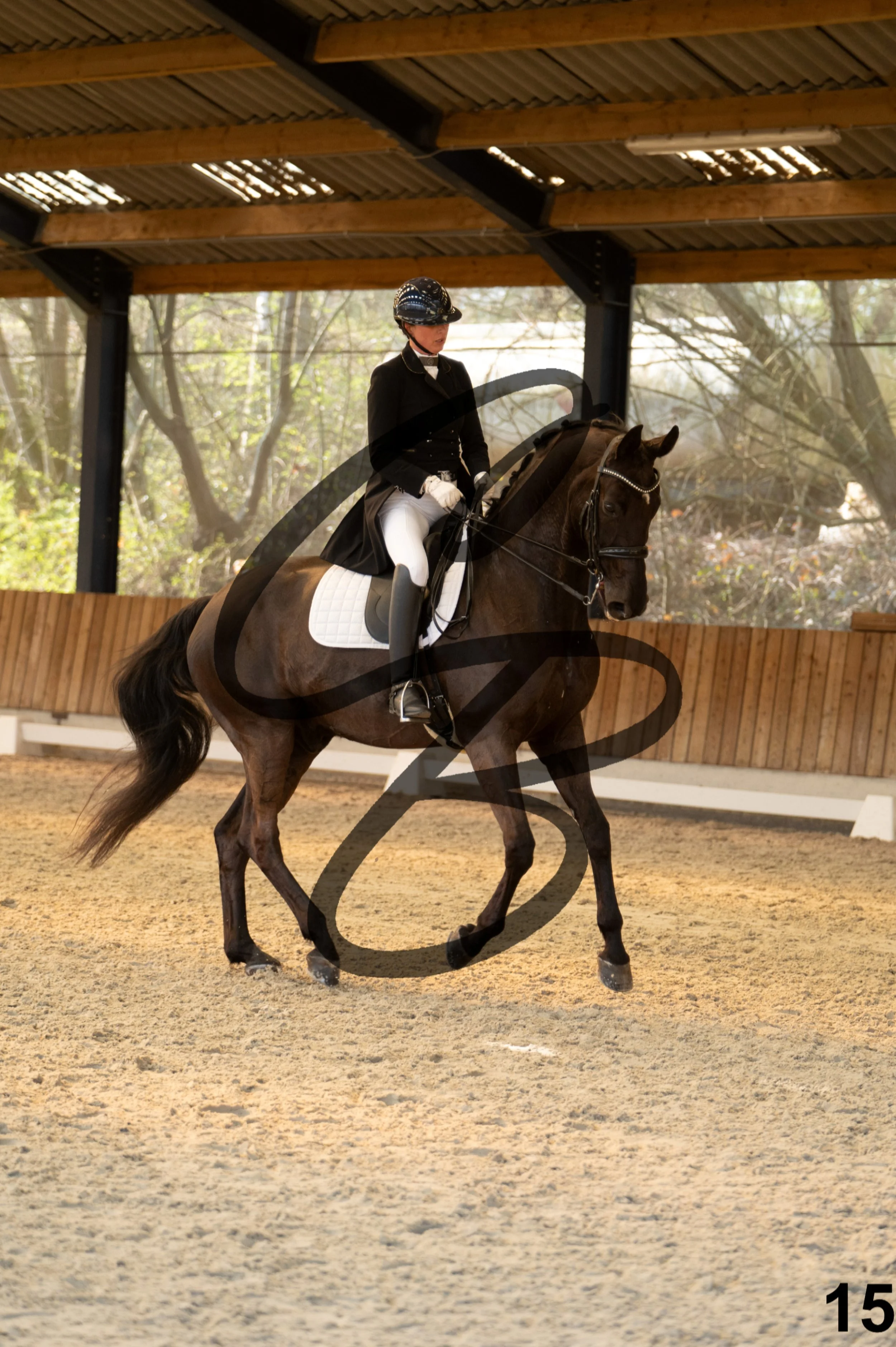 2026.03.22 - grand prix-15.jpg