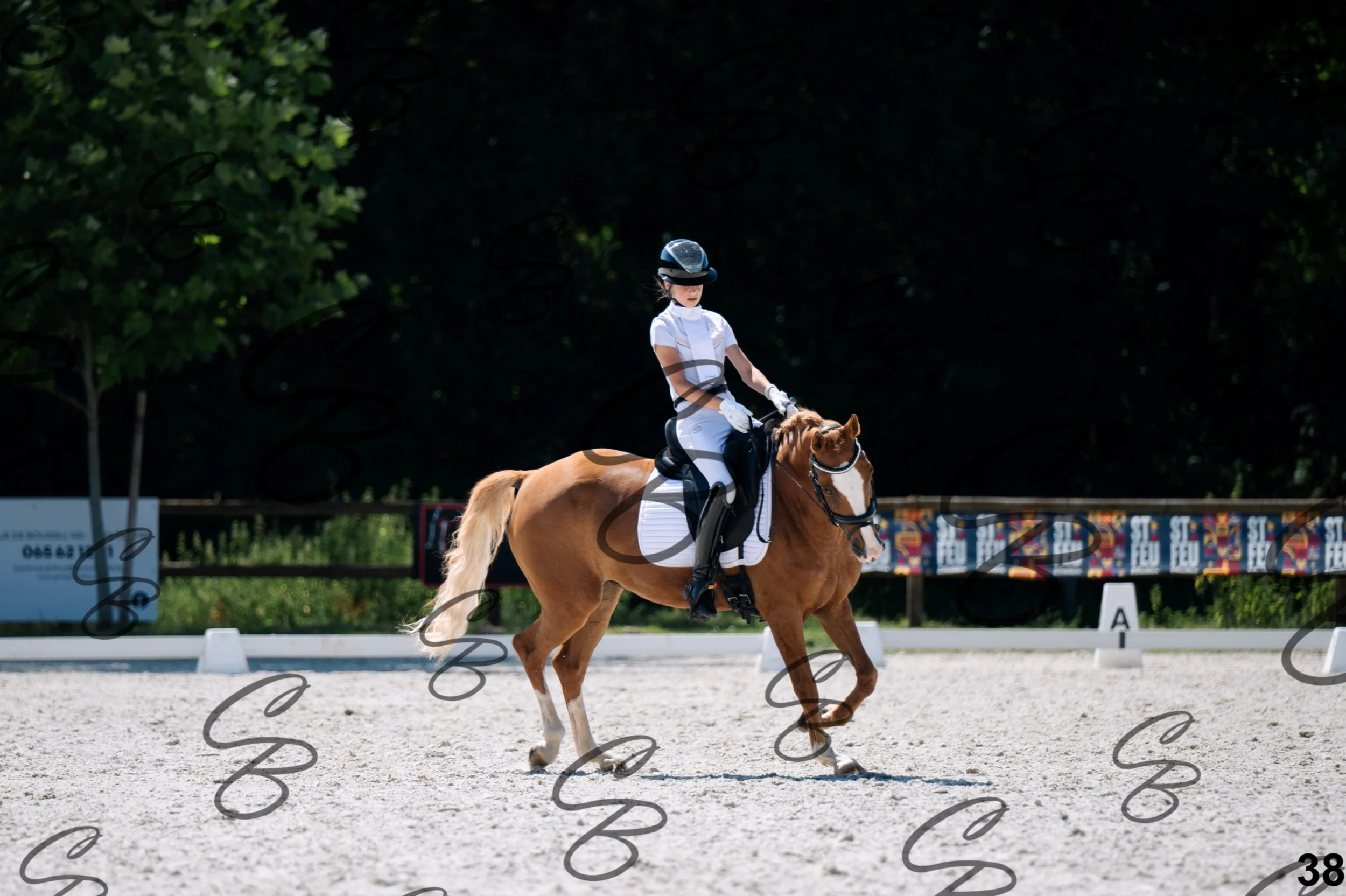 2026.07.12 - Niveau 2 - N2.4-38.jpg