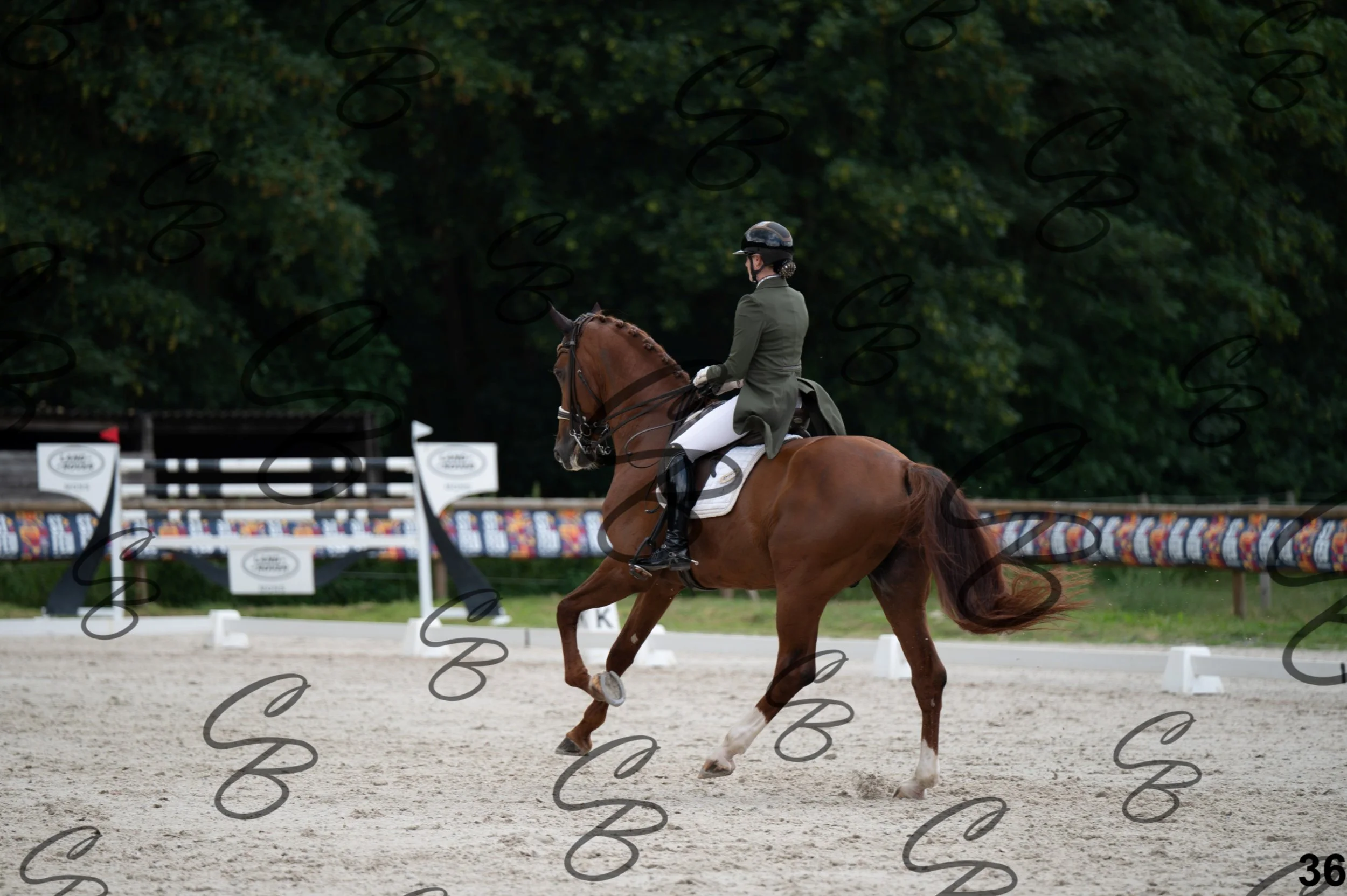 2026.07.04 - 3 Liselot Dupont-9.jpg