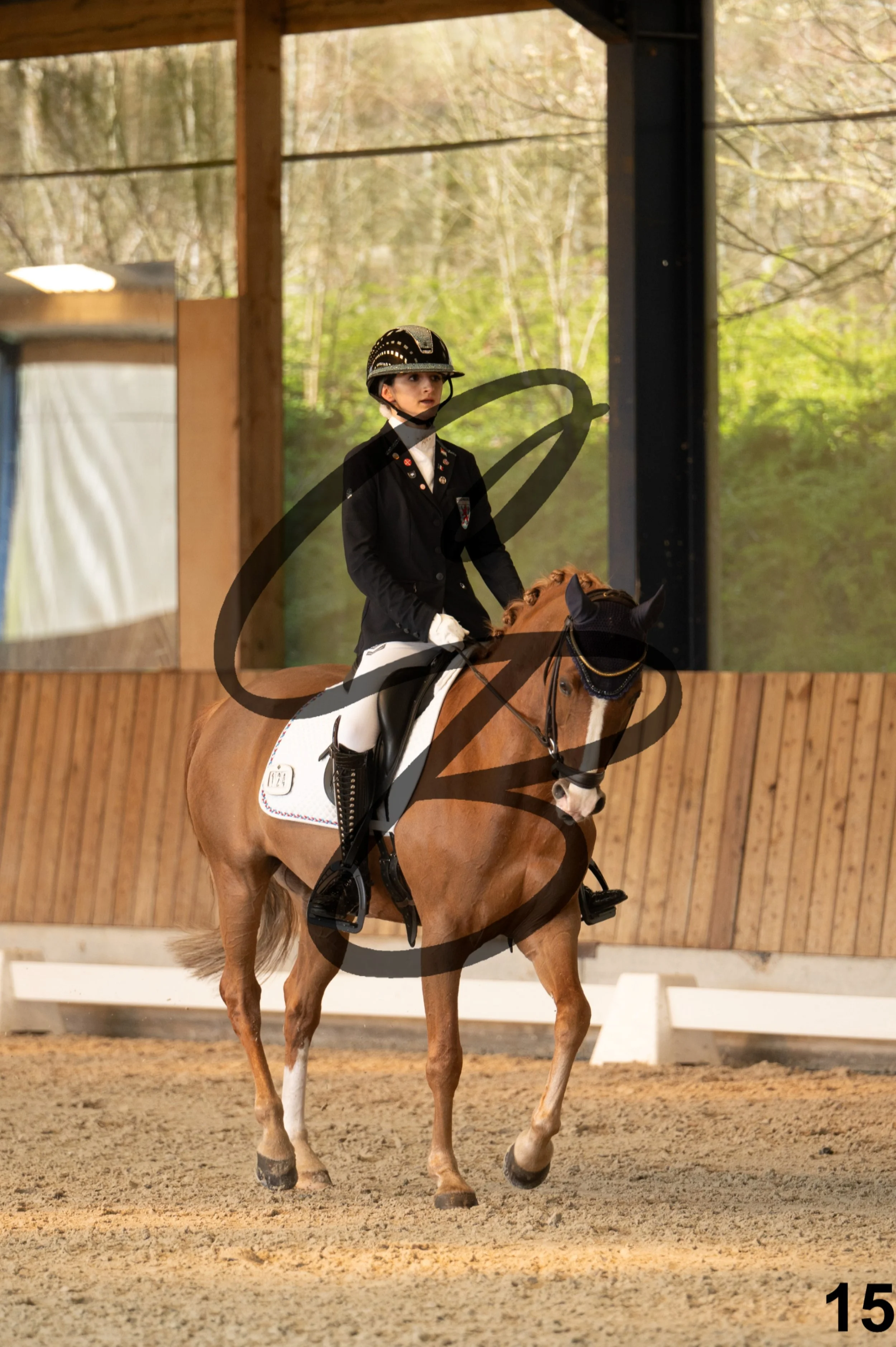 2026.03.22 - Niv3 - pony team test-15.jpg