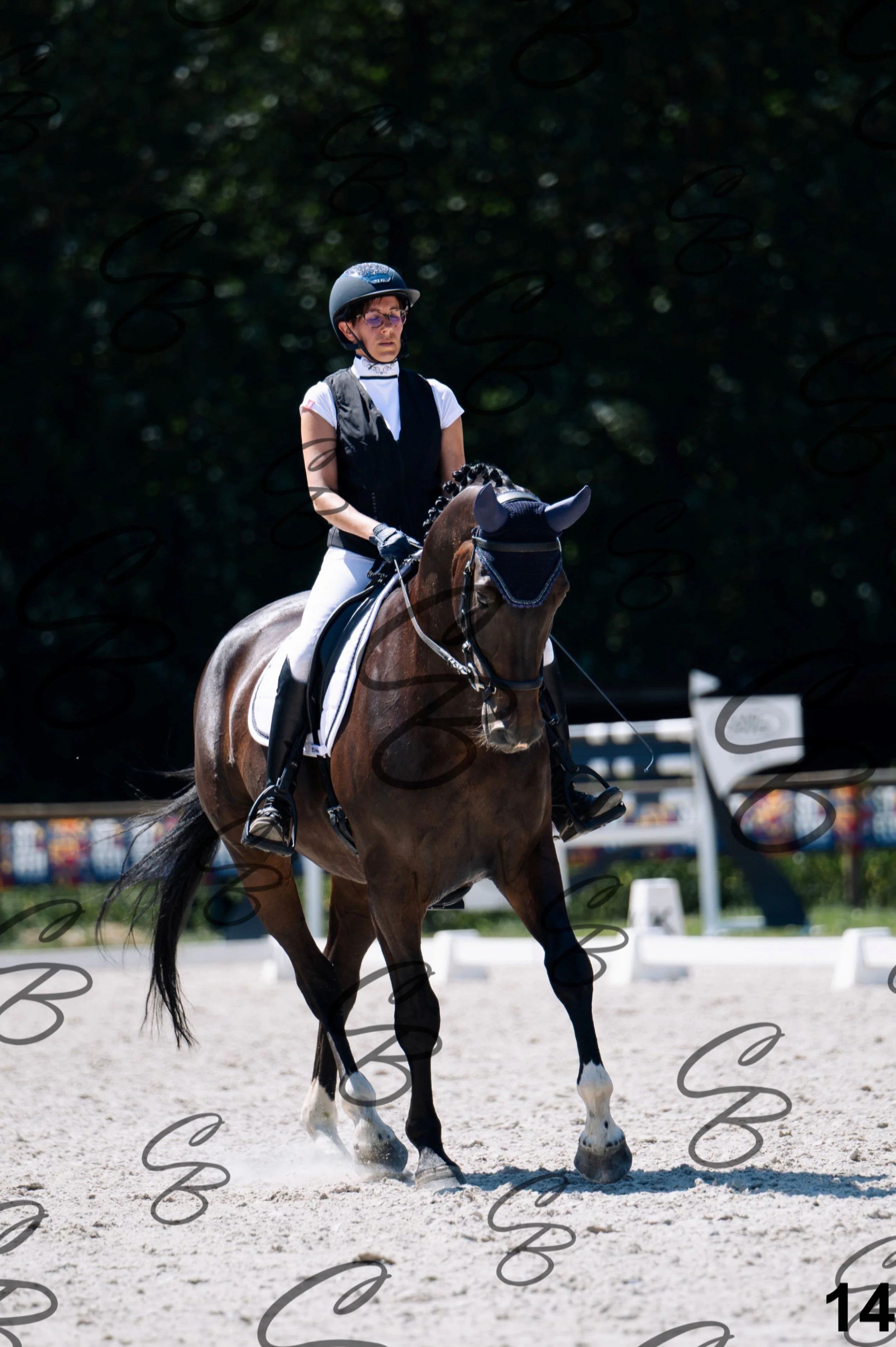 2026.07.12 - Niveau 2 - N2.4-14.jpg