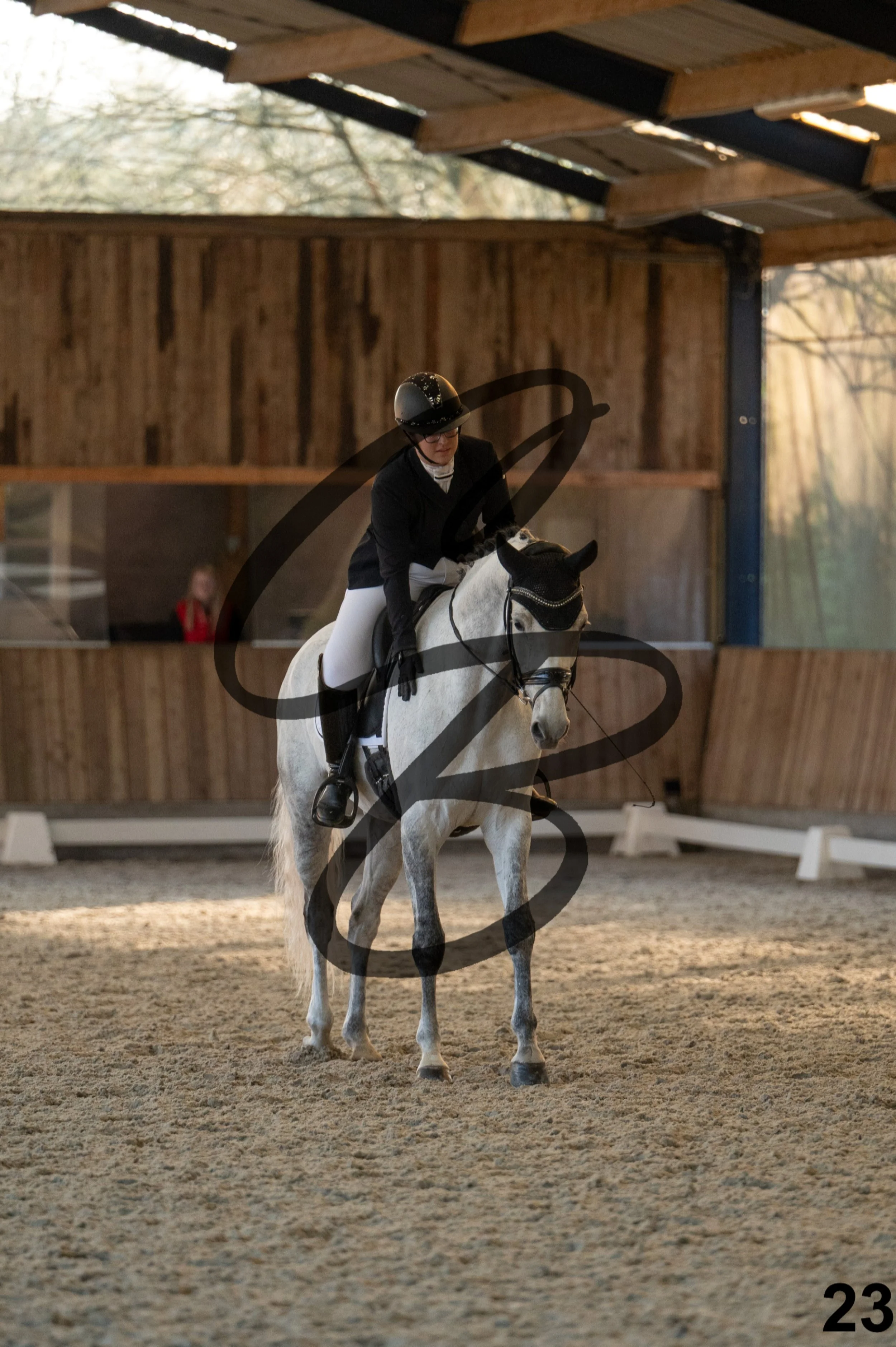 2026.03.22 - niv4.2-23.jpg