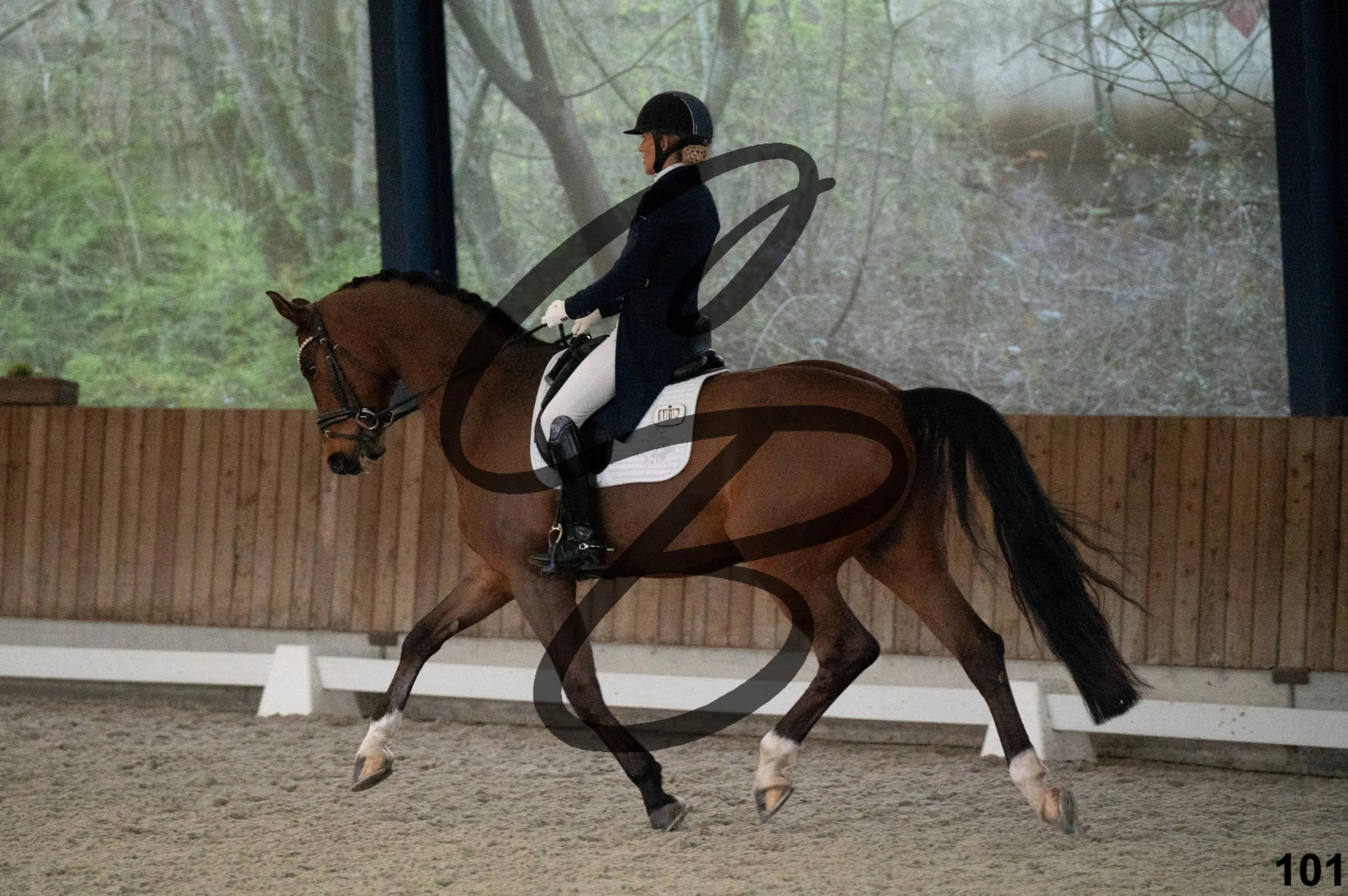 2026.03.22 - niv5 - saint georges-101.jpg