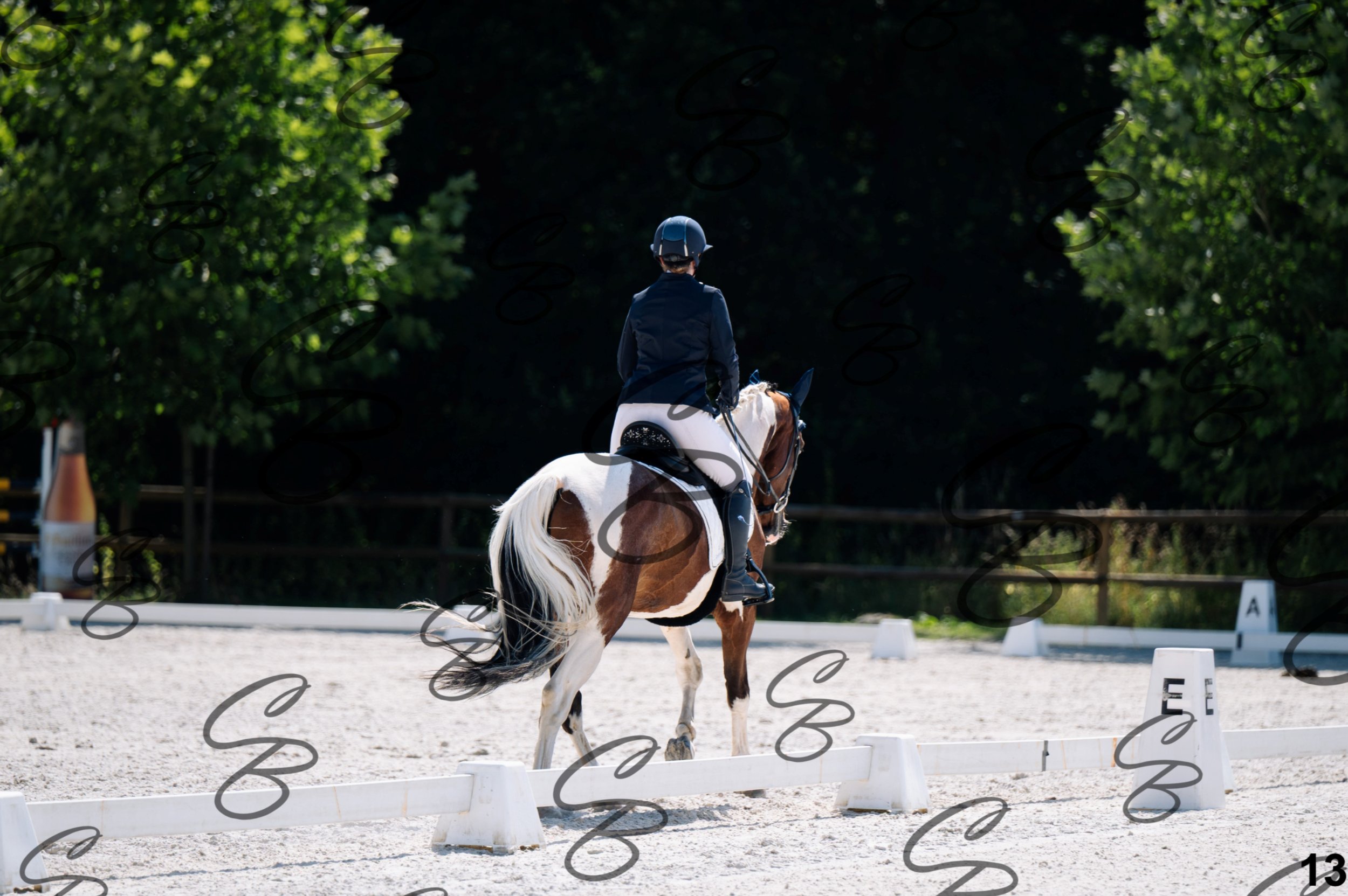2026.07.12 - Jeunes chevaux - FEI 4YH Final Test-13.jpg