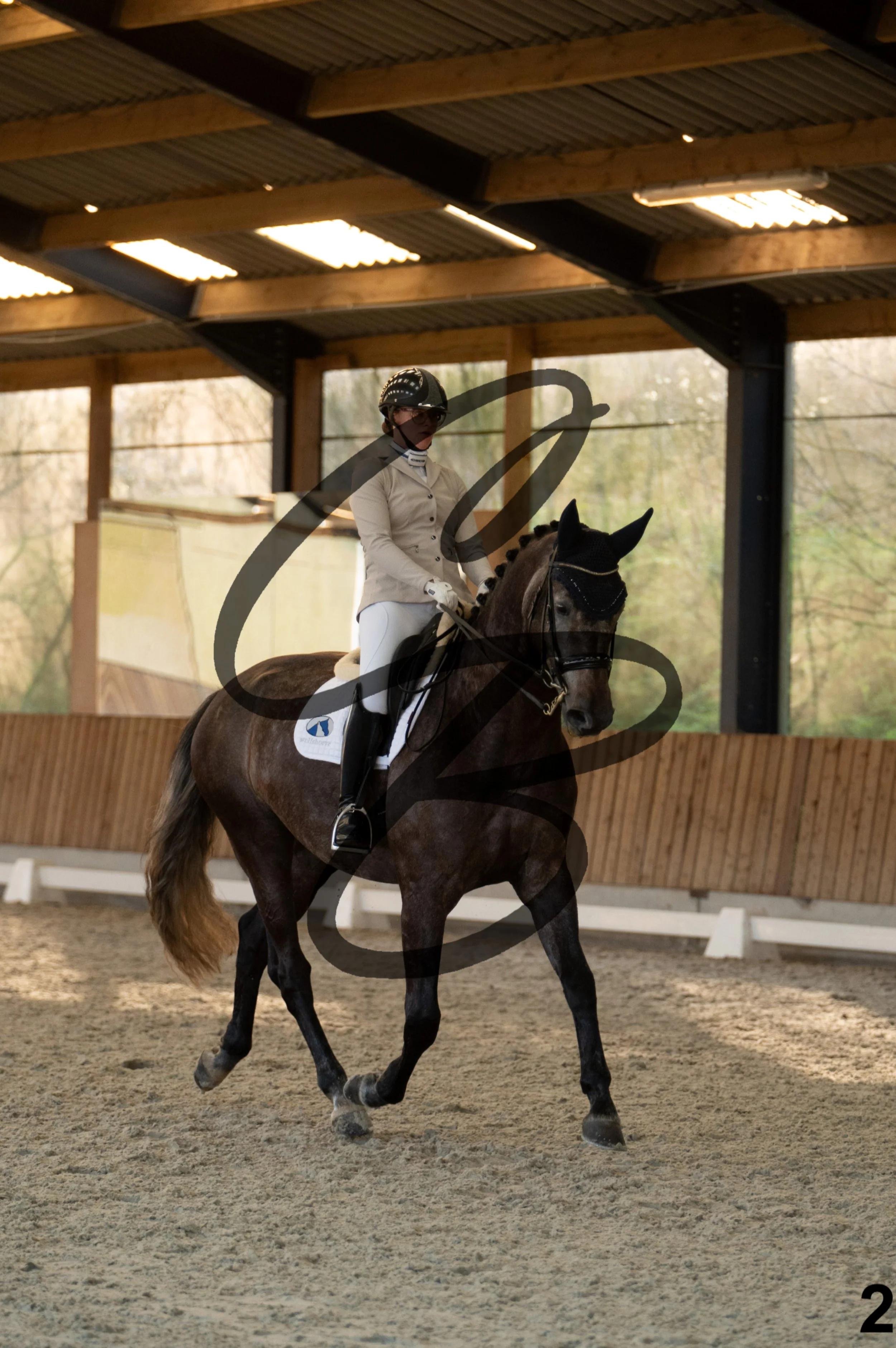 2026.03.22 - niv4.2-2.jpg