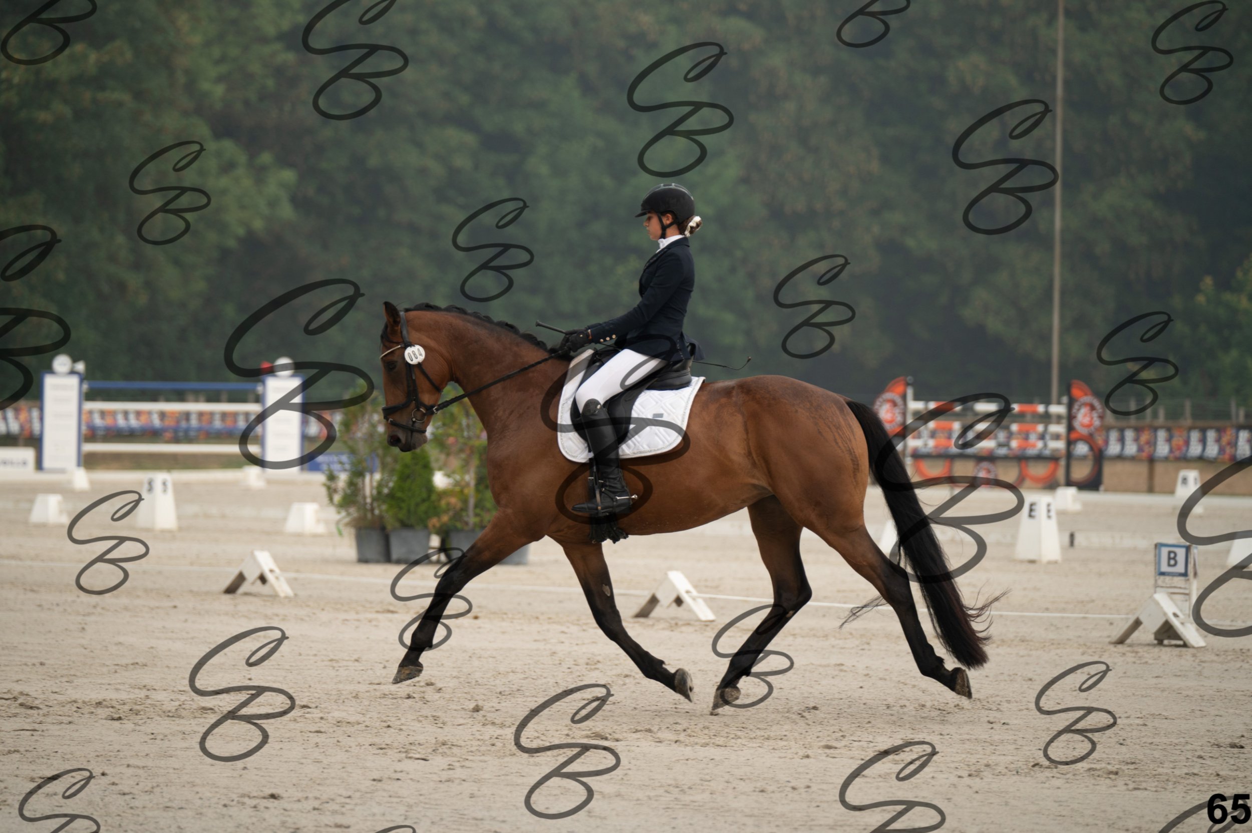 2026.08.15 - Louchier - GHO-99.jpg