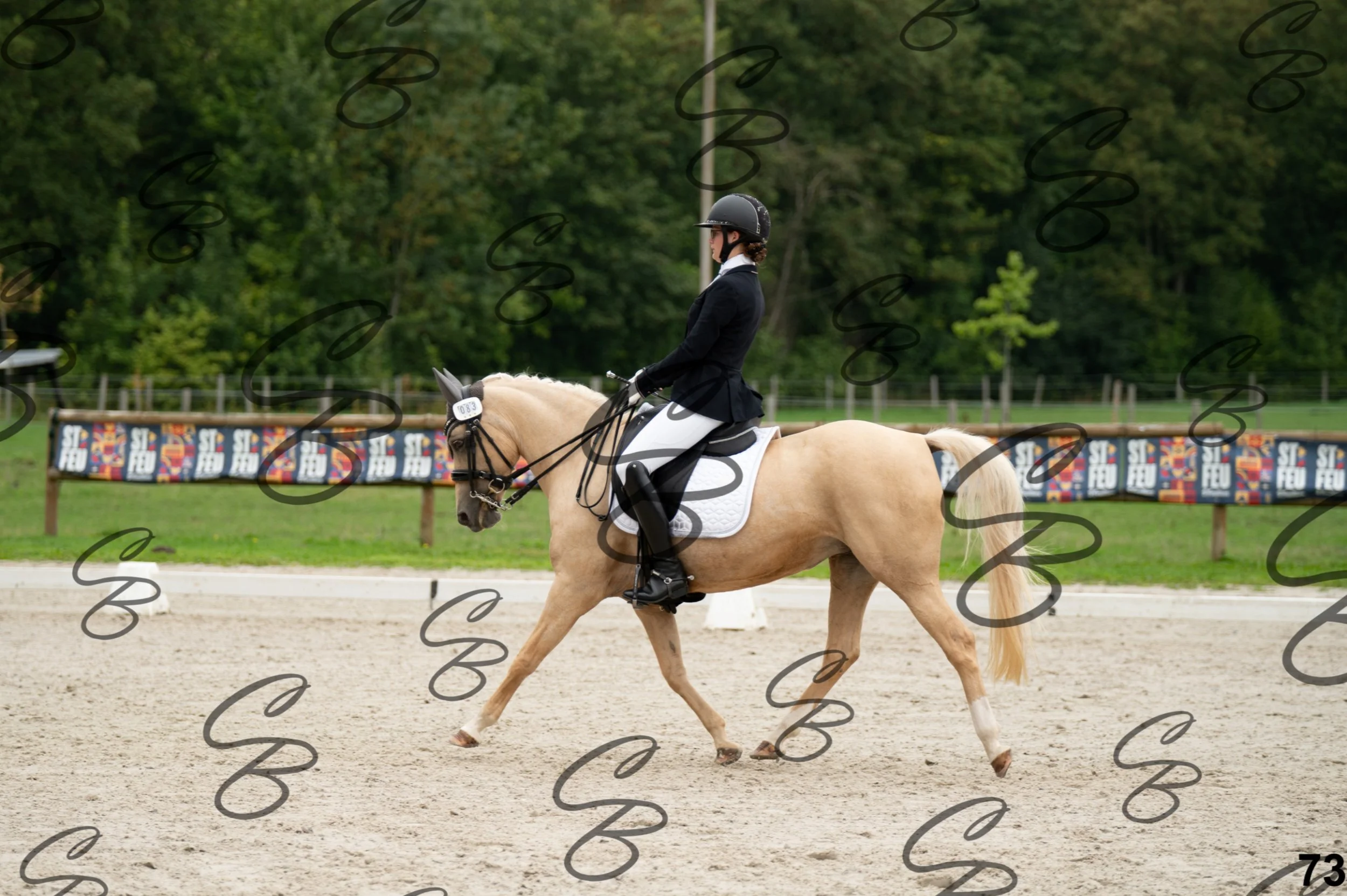 2026.09.13 - Alyssia-73.jpg