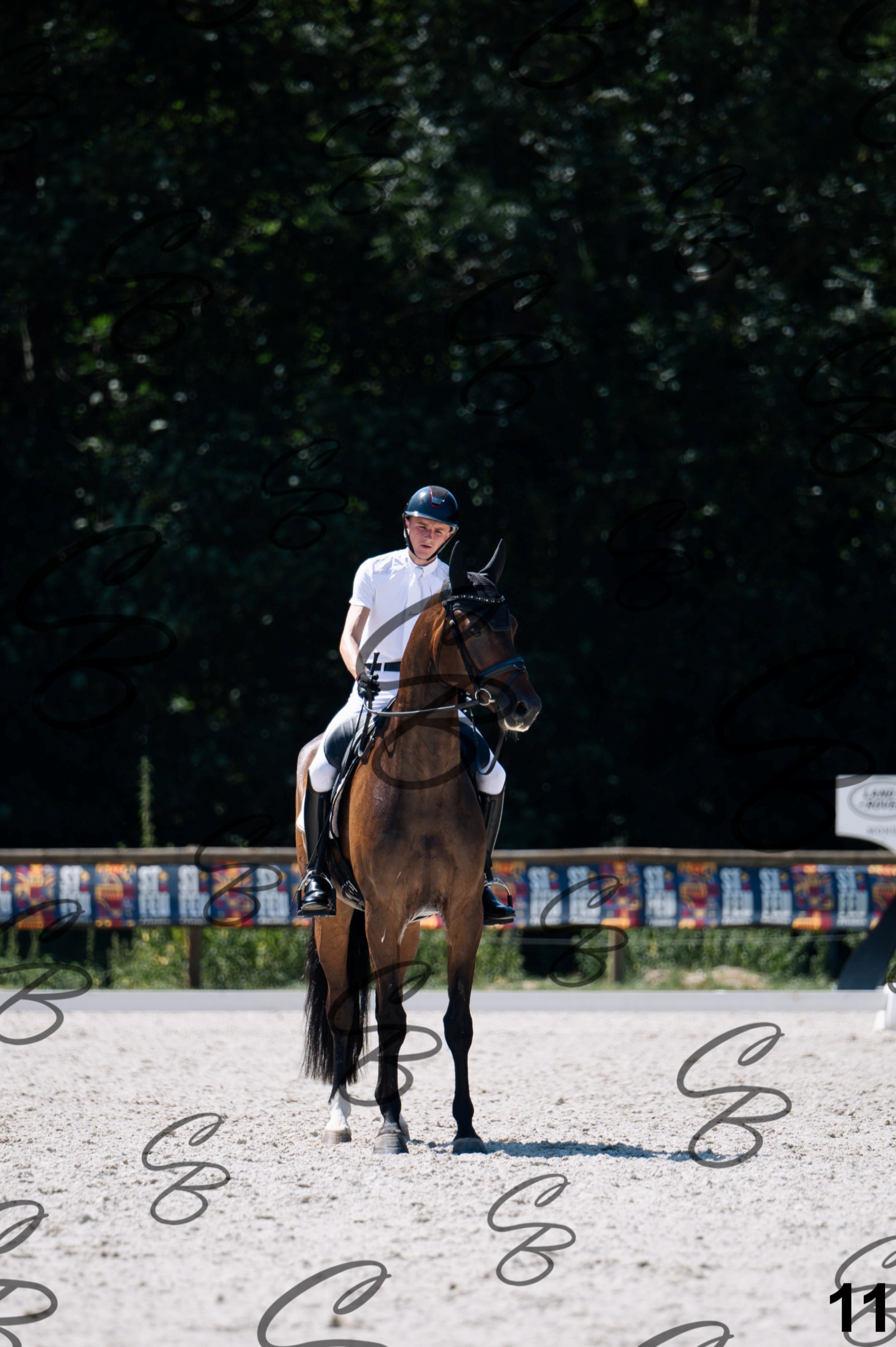 2026.07.12 - Jeunes chevaux - FEI 6YH Preliminary Test-11.jpg
