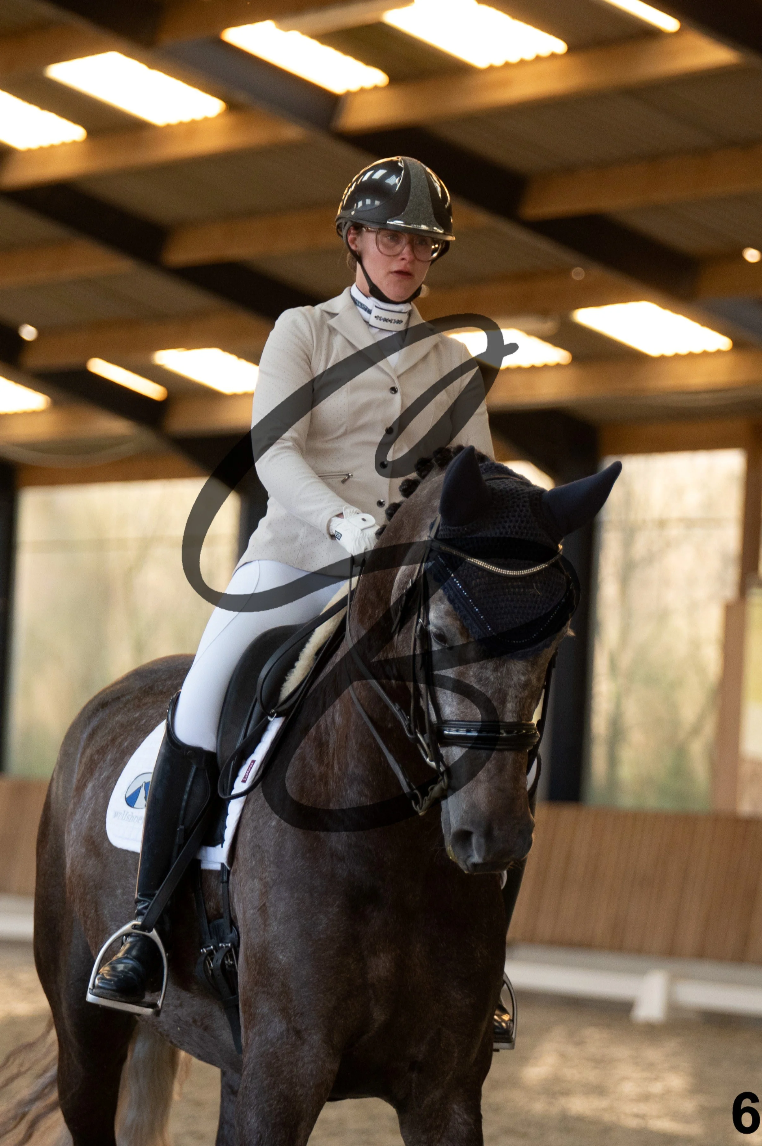 2026.03.22 - niv4.2-6.jpg