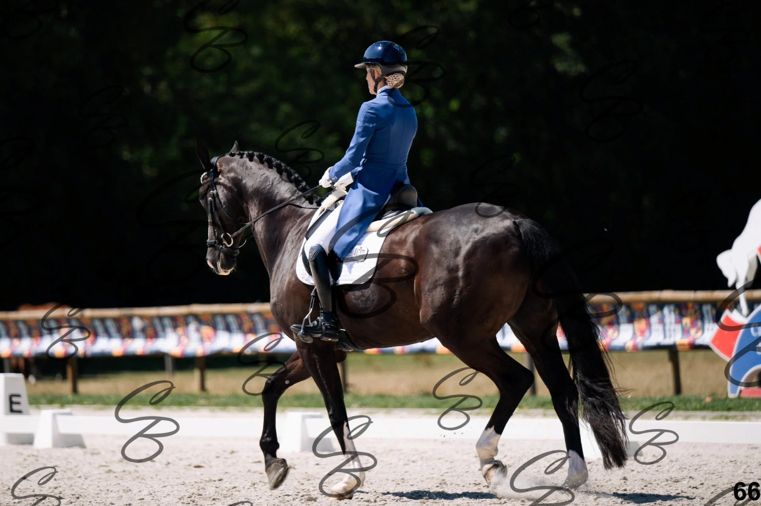 2026.07.12 - Niveau 5 - S3-66.jpg
