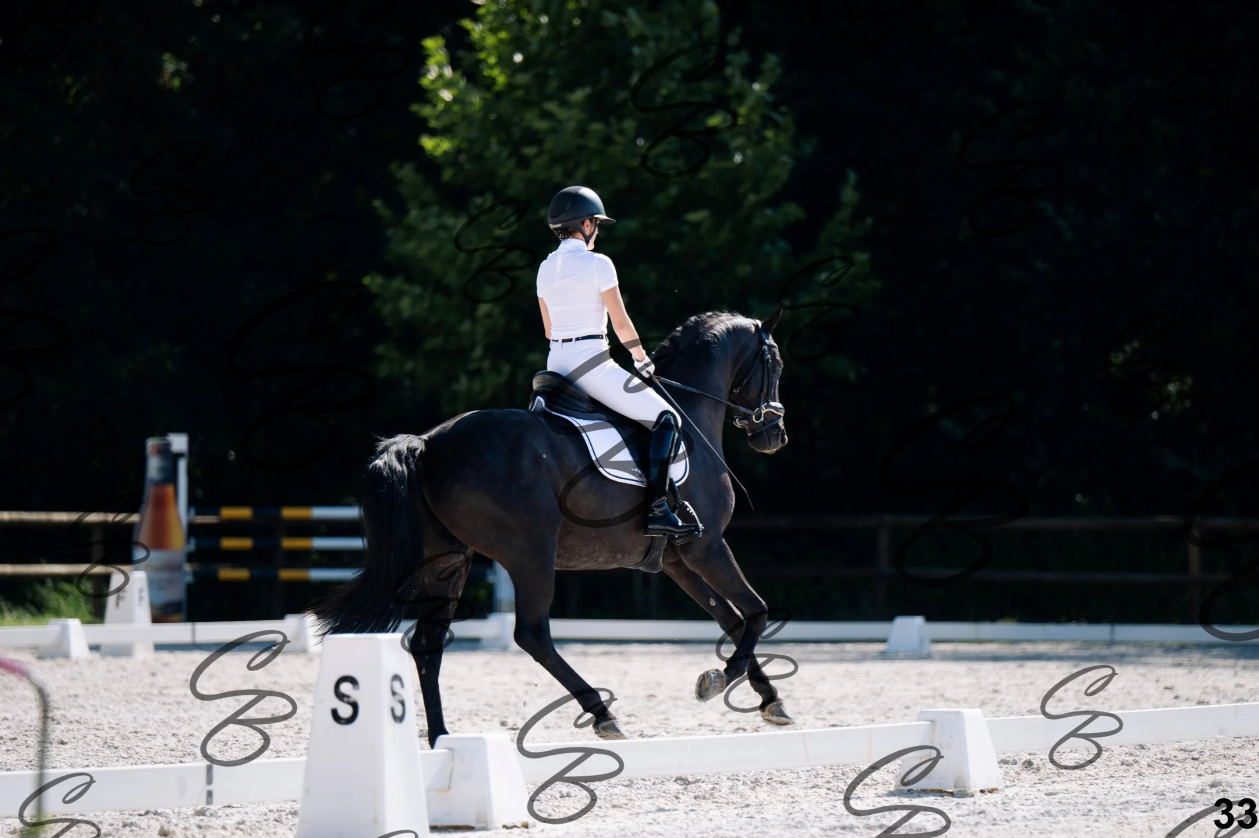 2026.07.12 - Jeunes chevaux - FEI 5YH Preliminary Test-33.jpg
