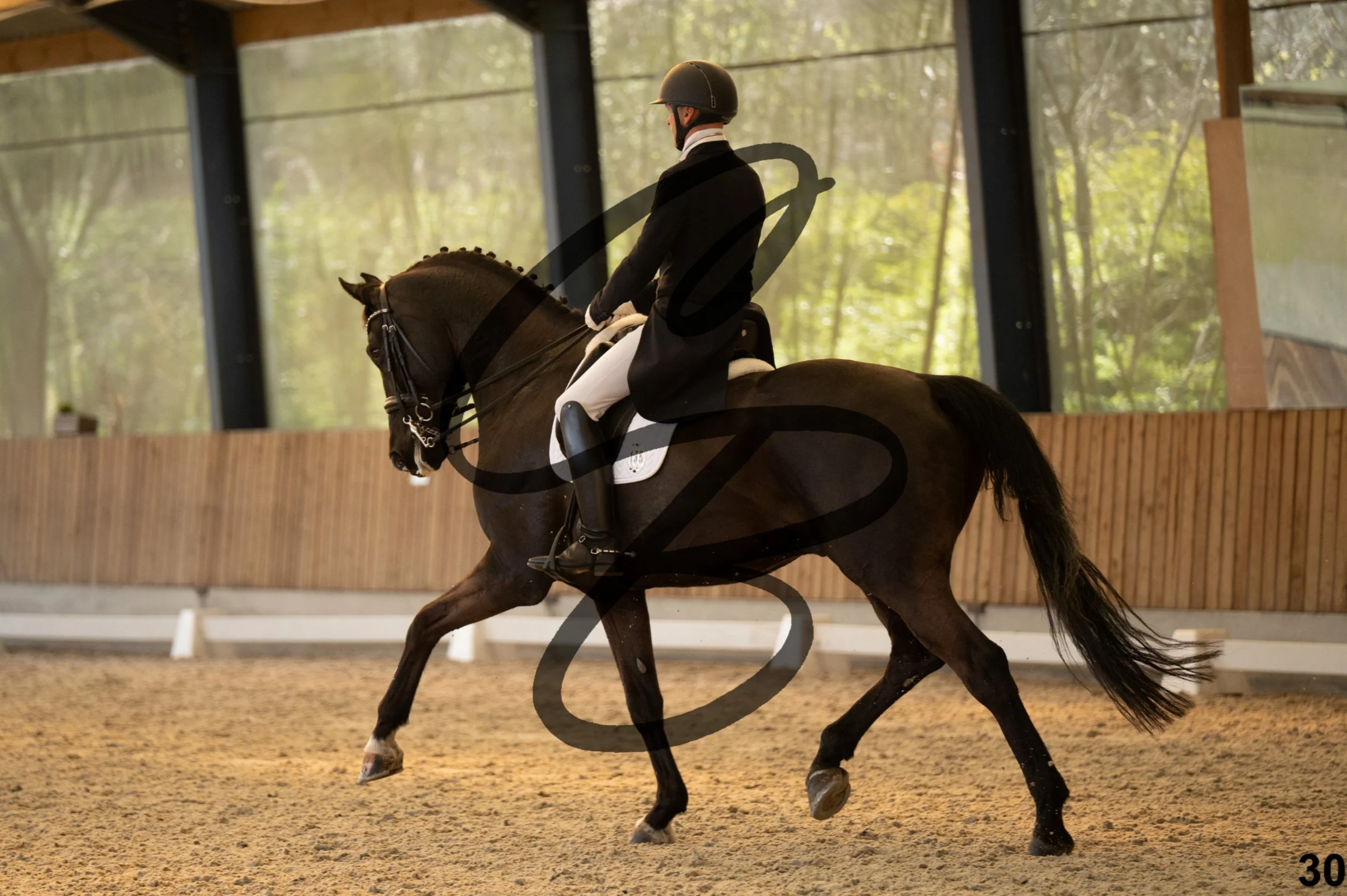 2026.03.22 - grand prix-30.jpg