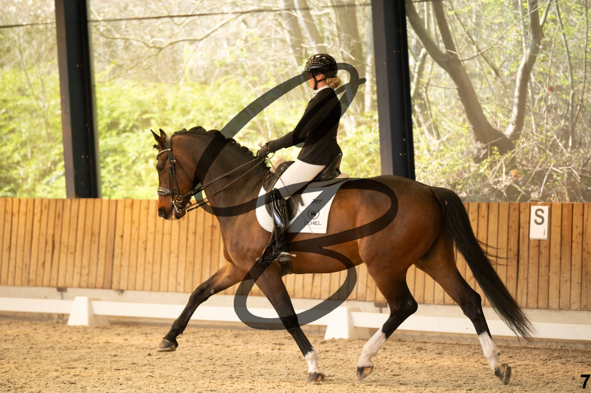 2026.03.22 - Grade 5 - grand prix test B-7.jpg