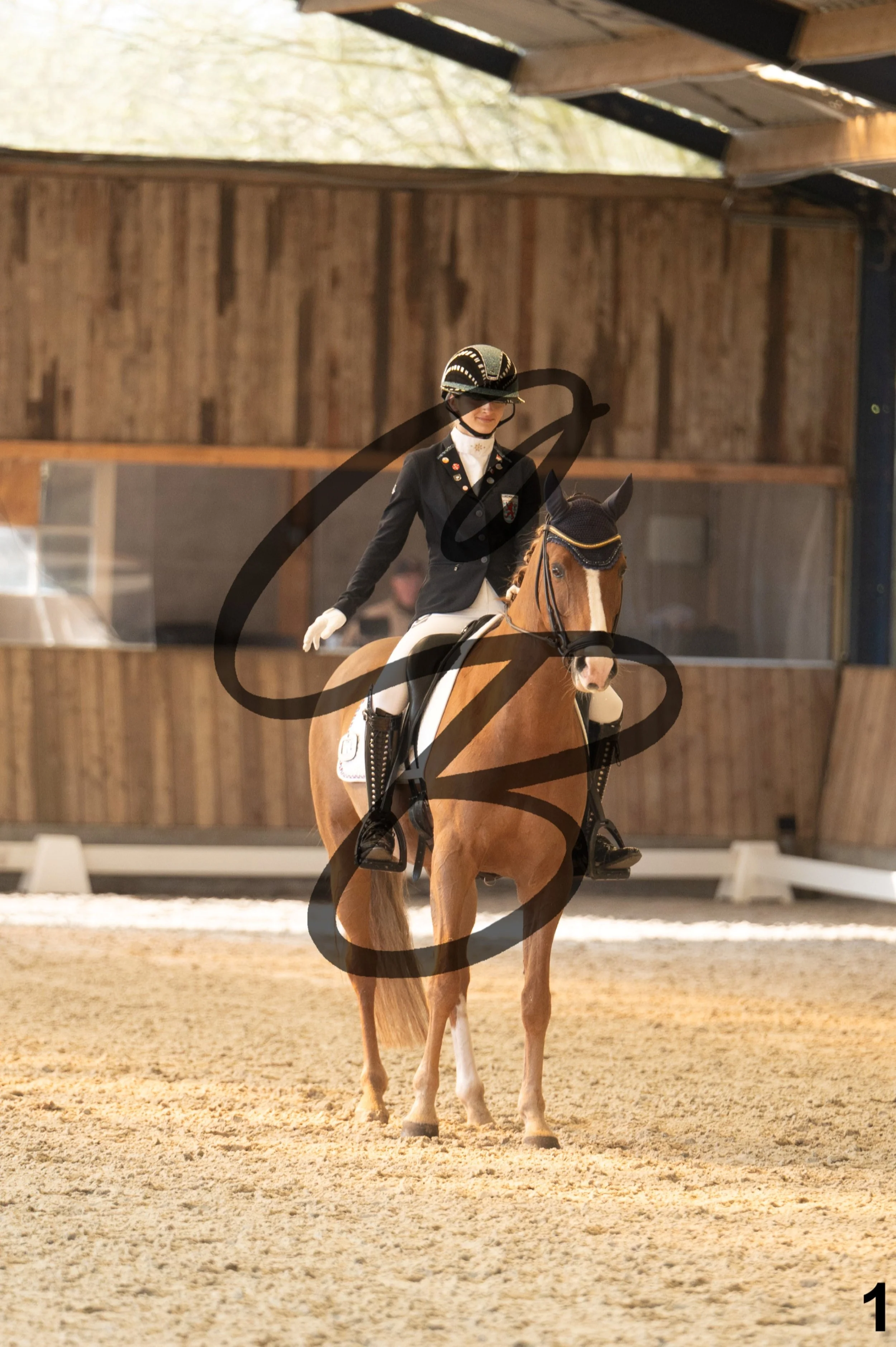 2026.03.22 - Niv3 - Pony individual test-1.jpg