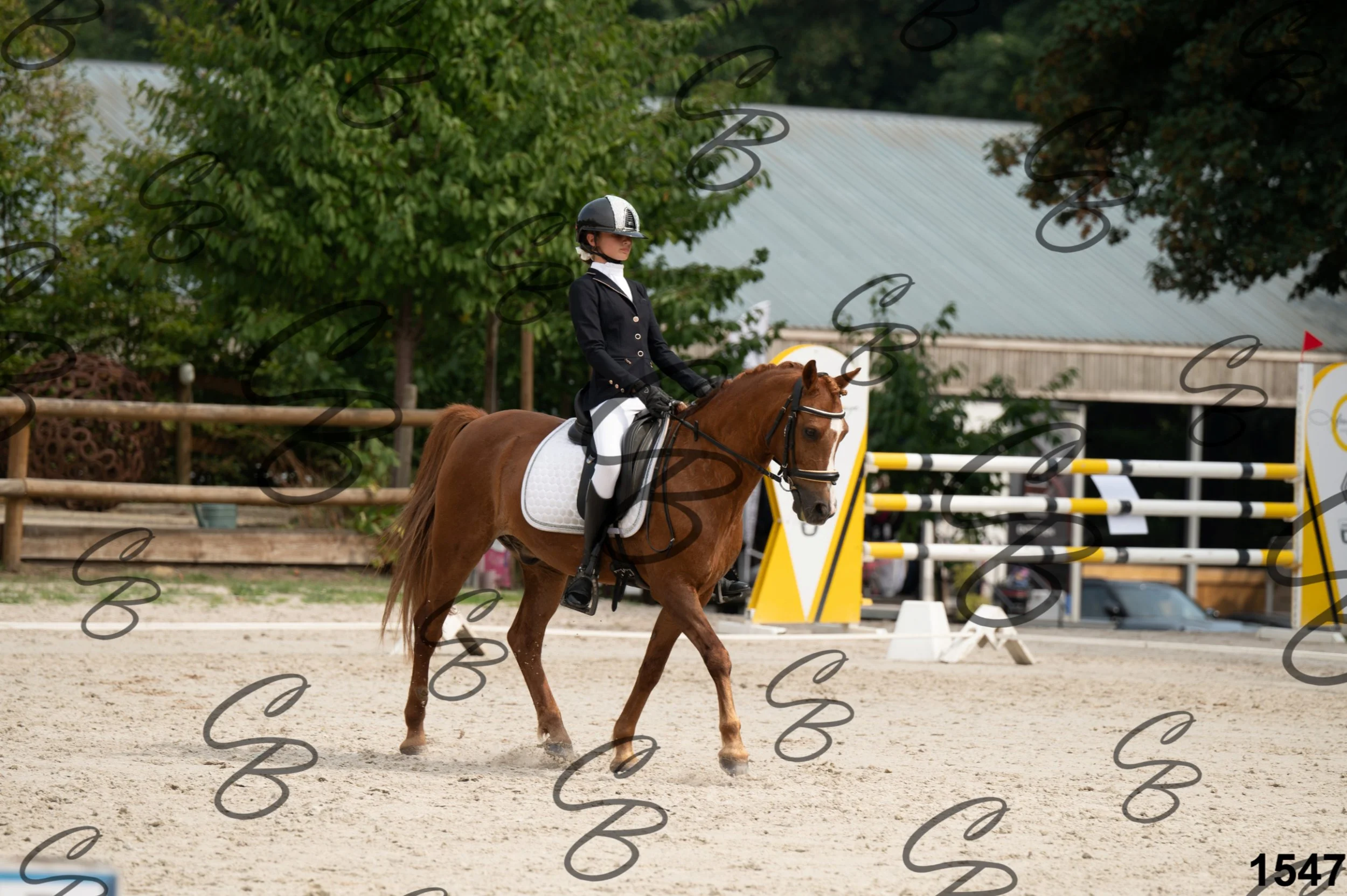 2026.08.15 - Louchier - GHO-1741.jpg