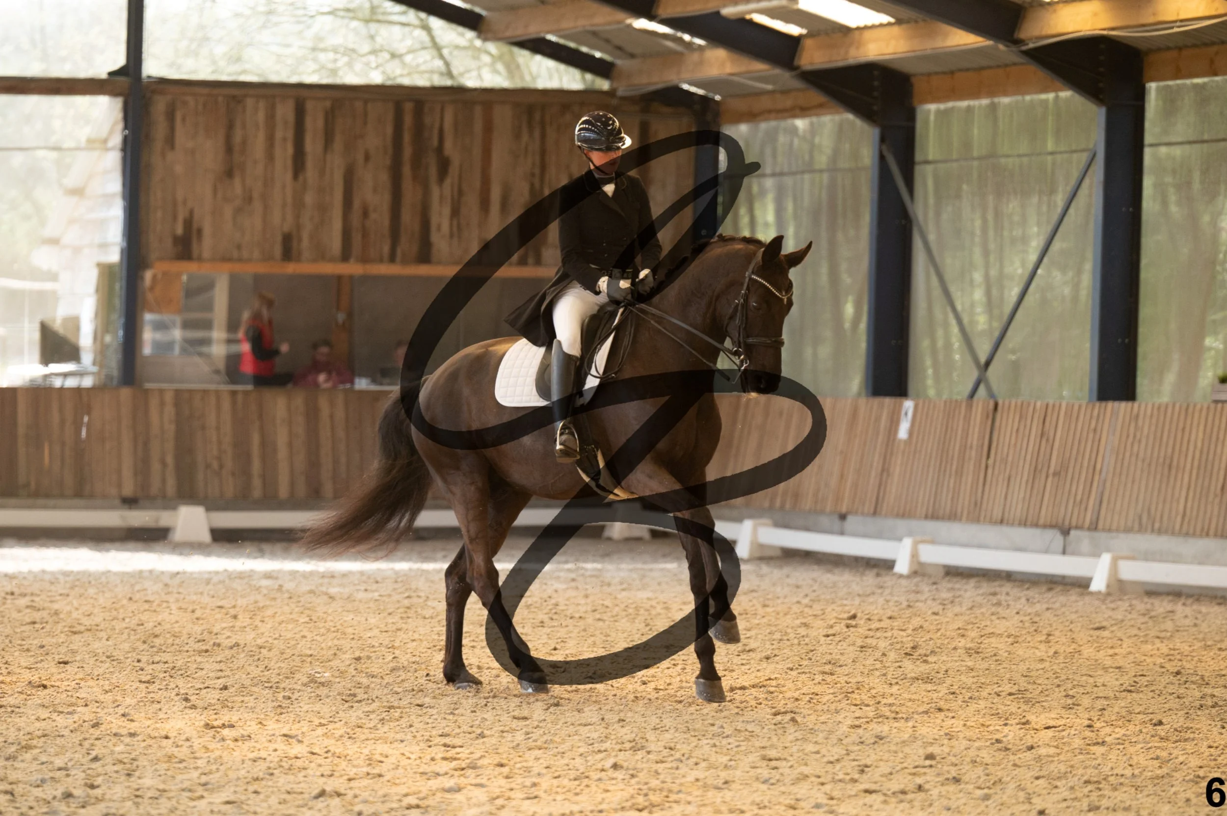 2026.03.22 - grand prix-6.jpg