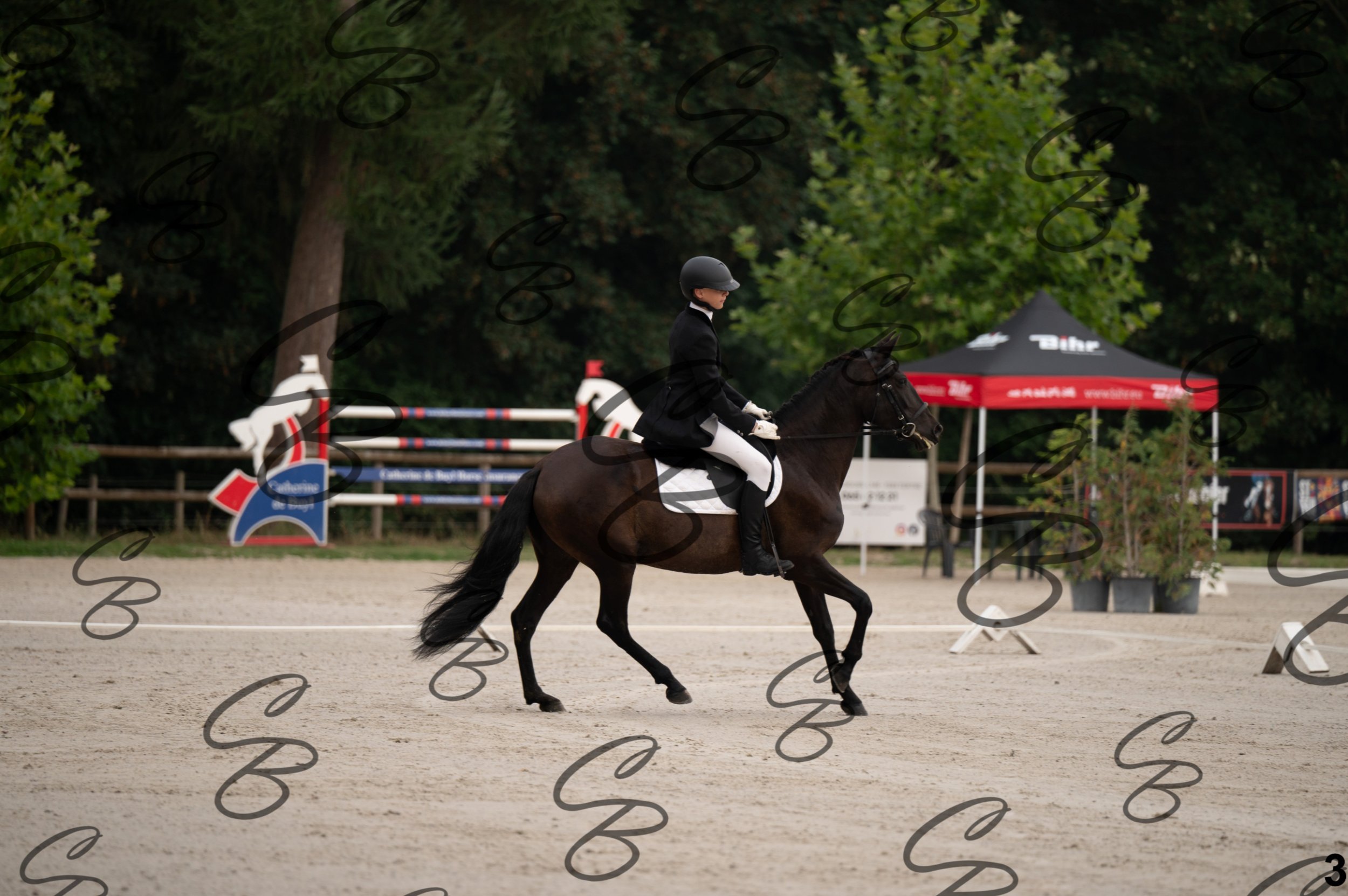2026.08.15 - Louchier - GHO-8.jpg