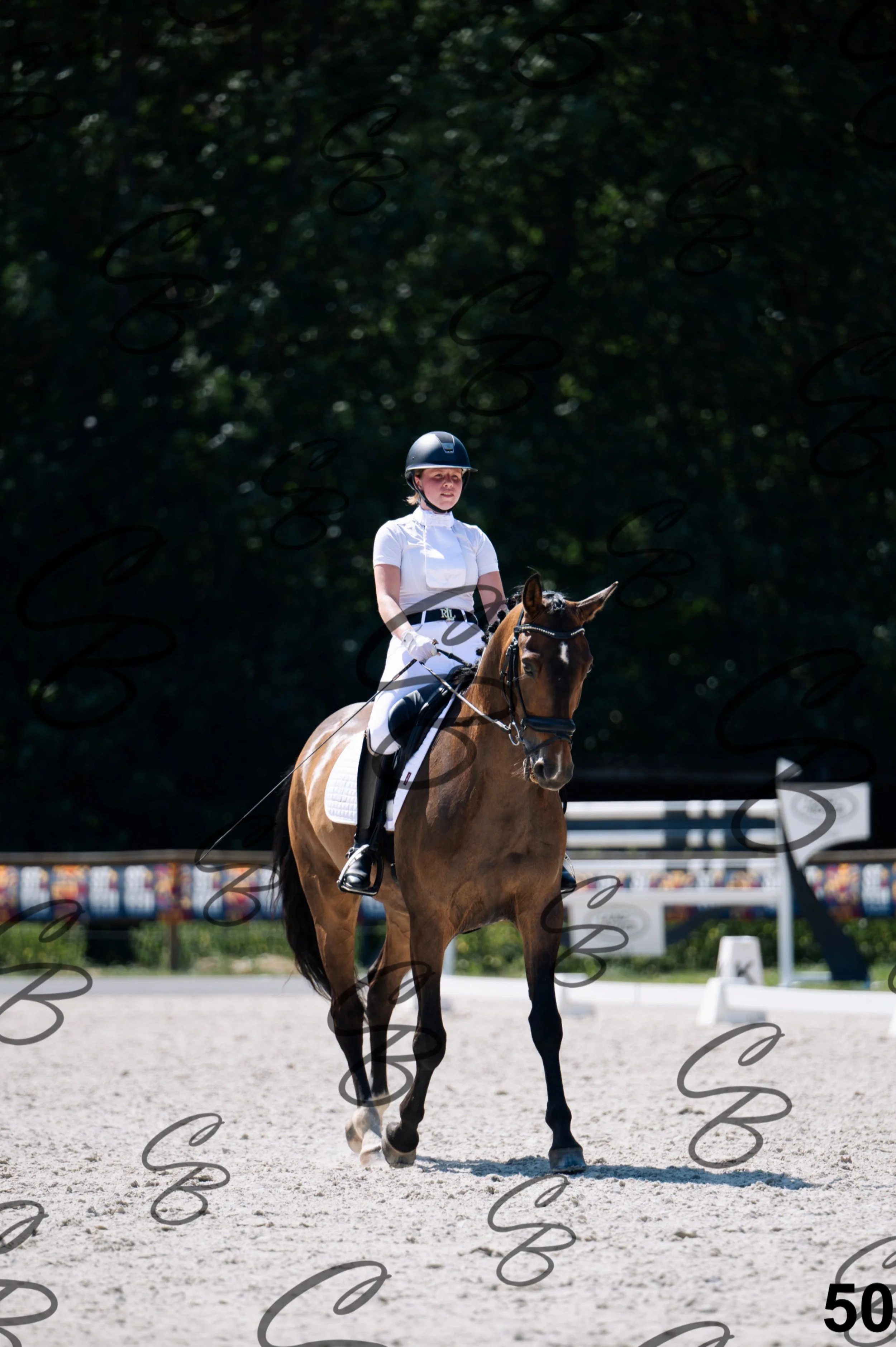 2026.07.12 - Niveau 2 - N2.4-50.jpg