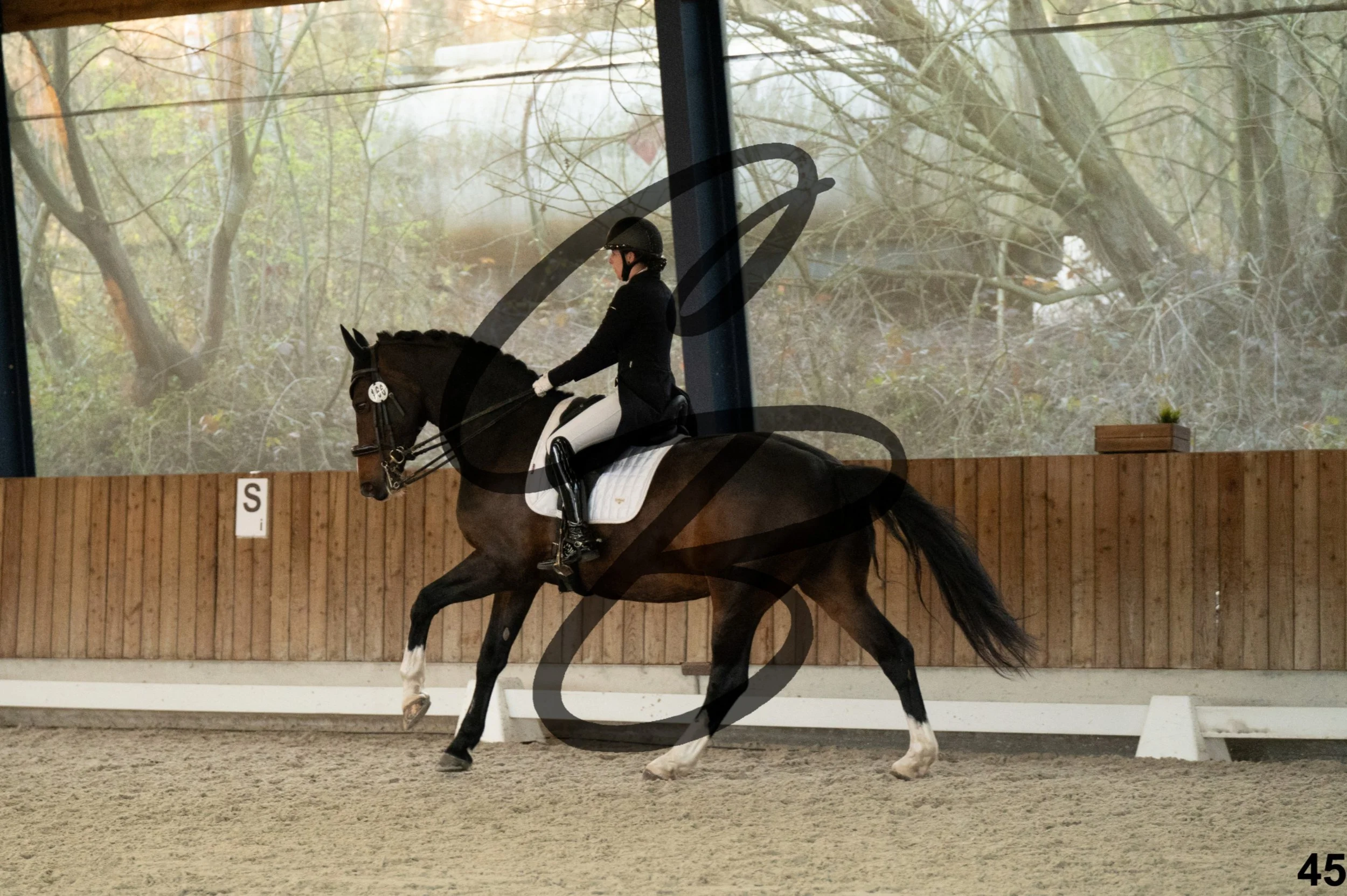 2026.03.22 - niv5 - saint georges-45.jpg