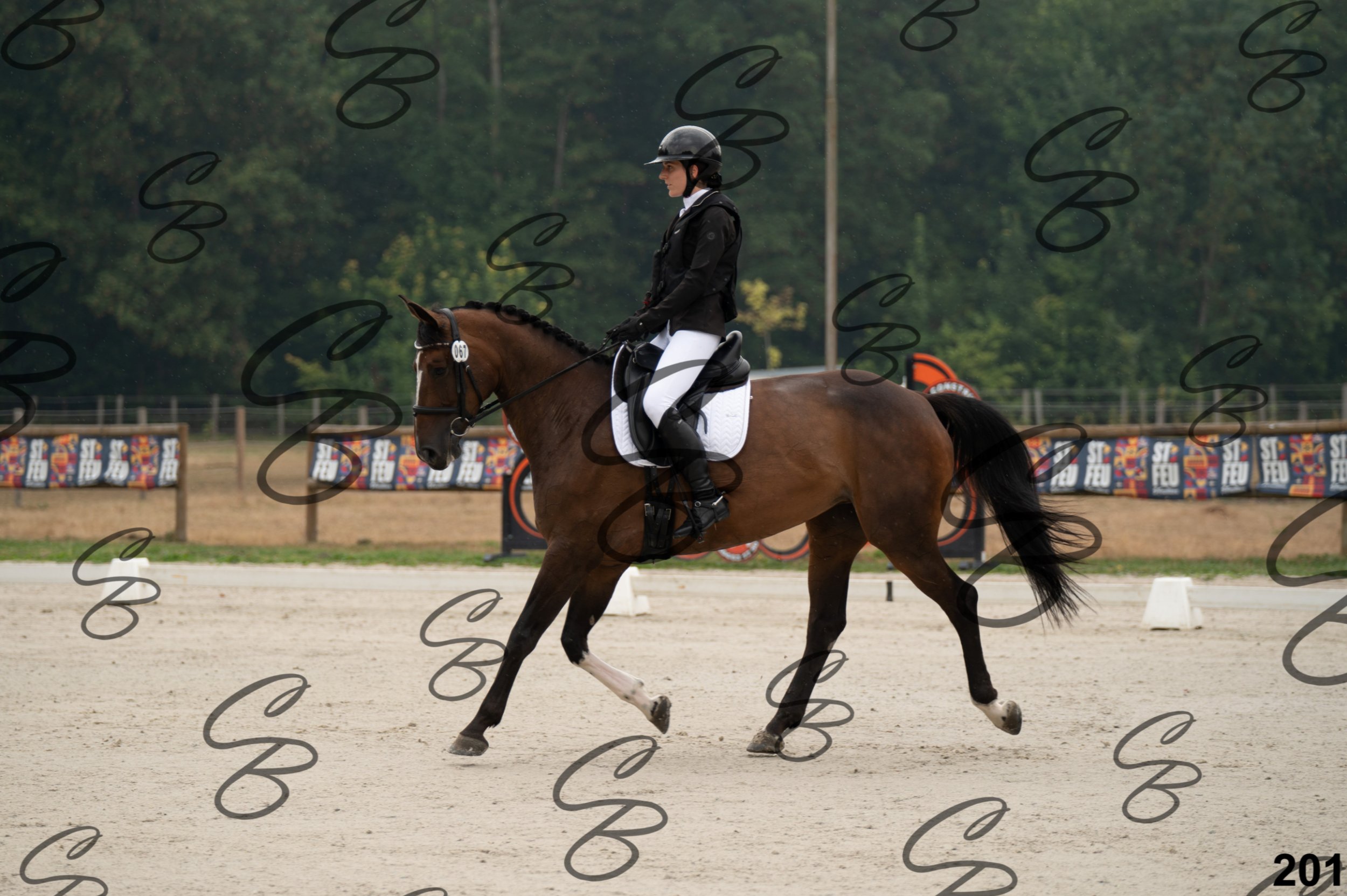 2026.08.15 - Louchier - GHO-270.jpg