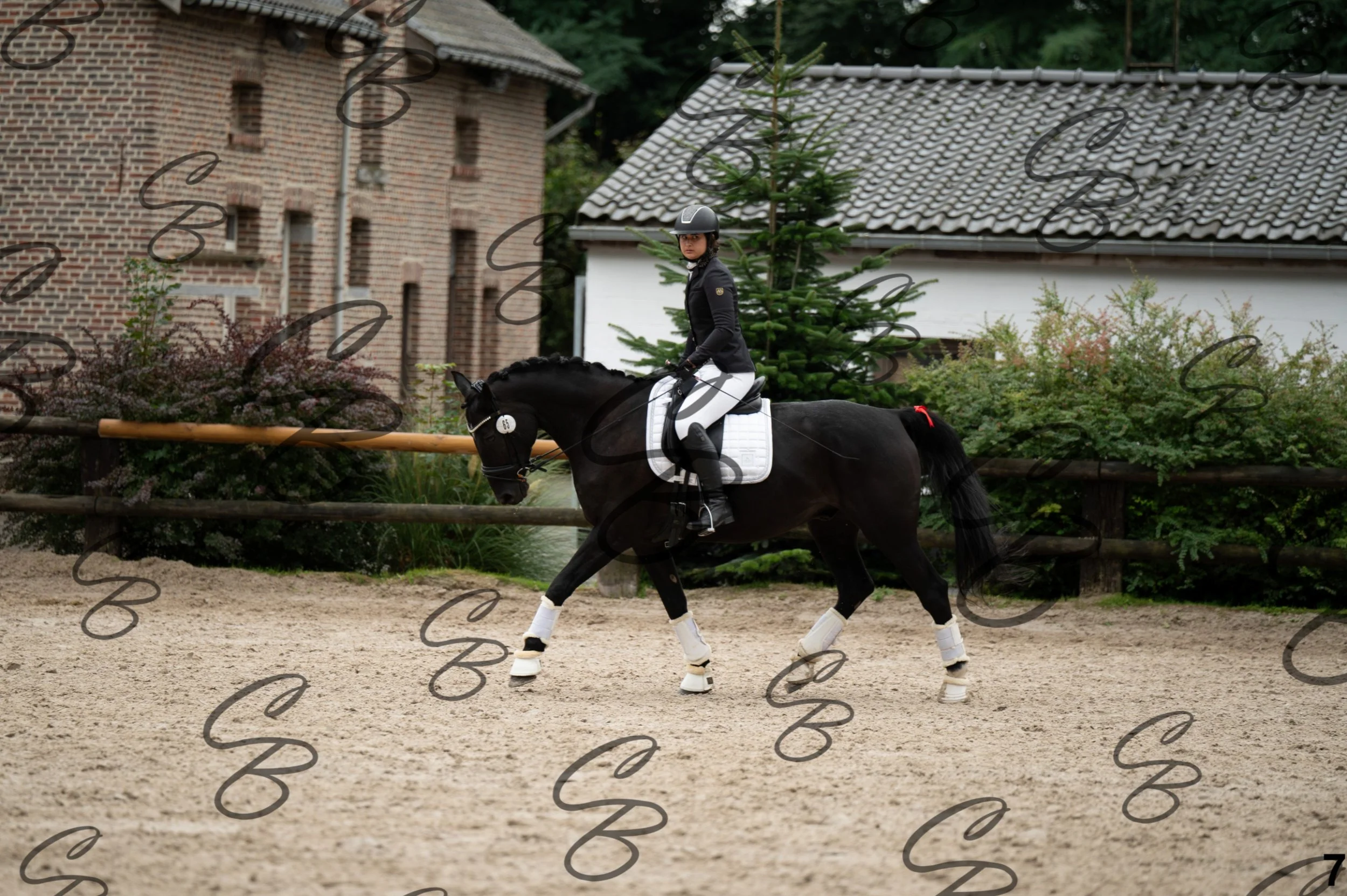 2026.09.13 - Reka-7.jpg