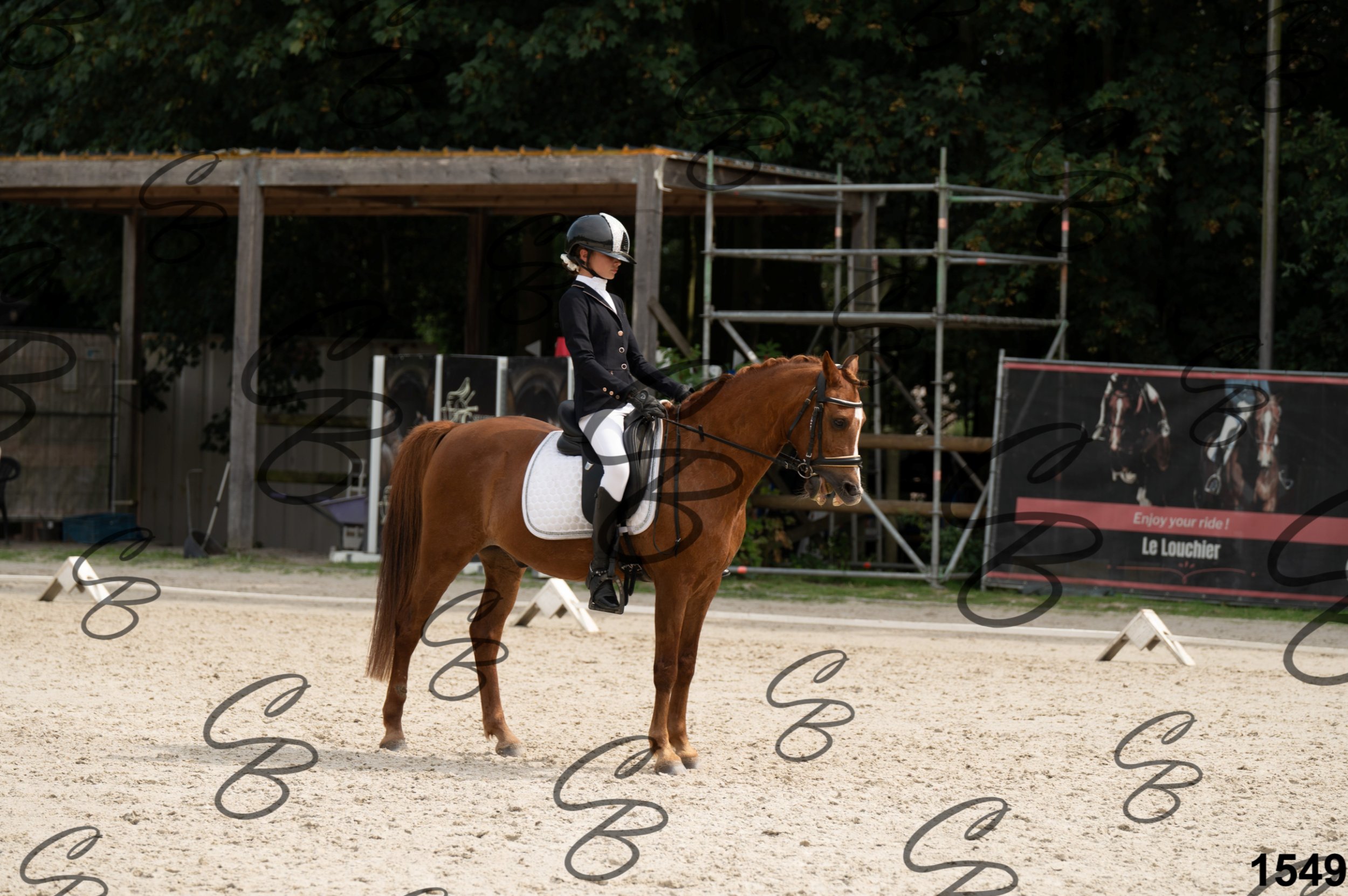 2026.08.15 - Louchier - GHO-1744.jpg